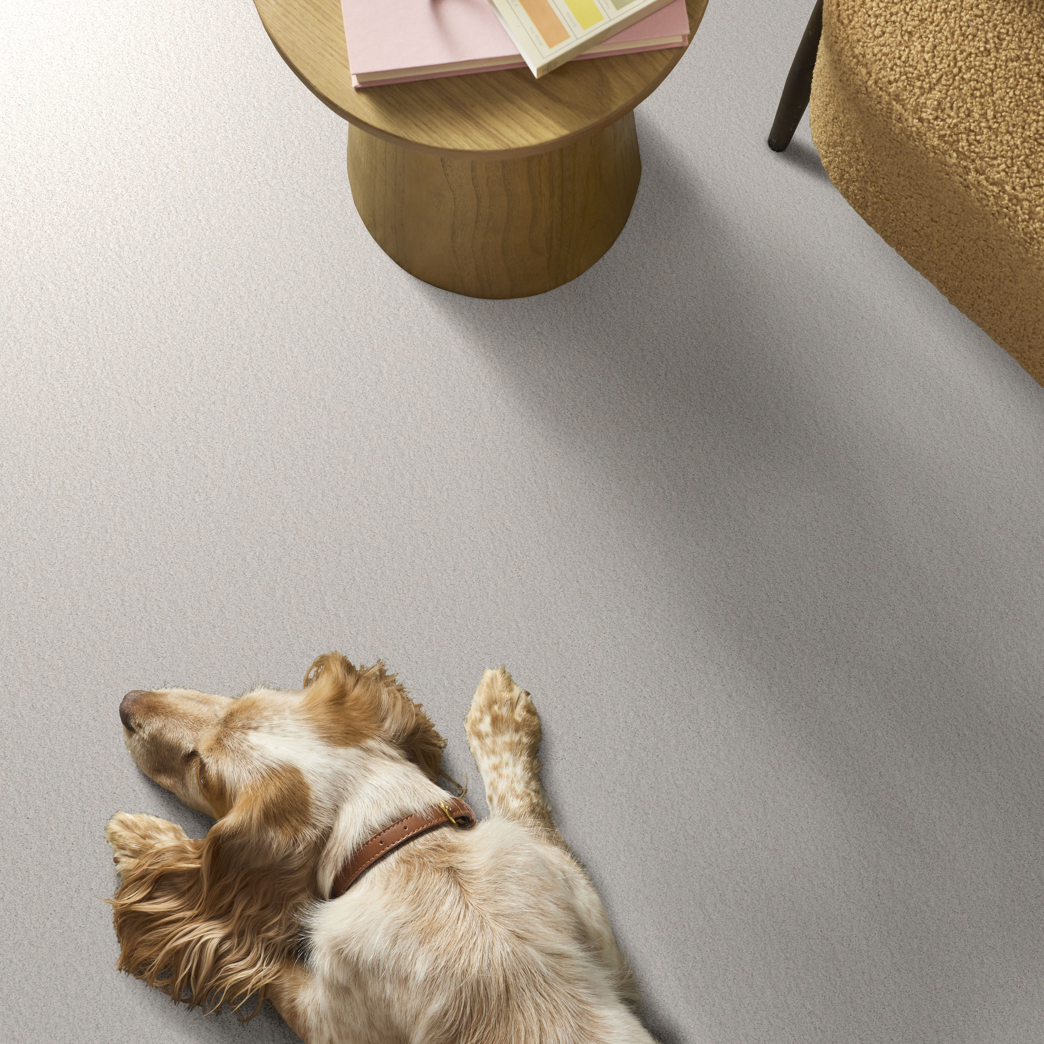 WAY TO GO I DRIFTING SNOW ROOM