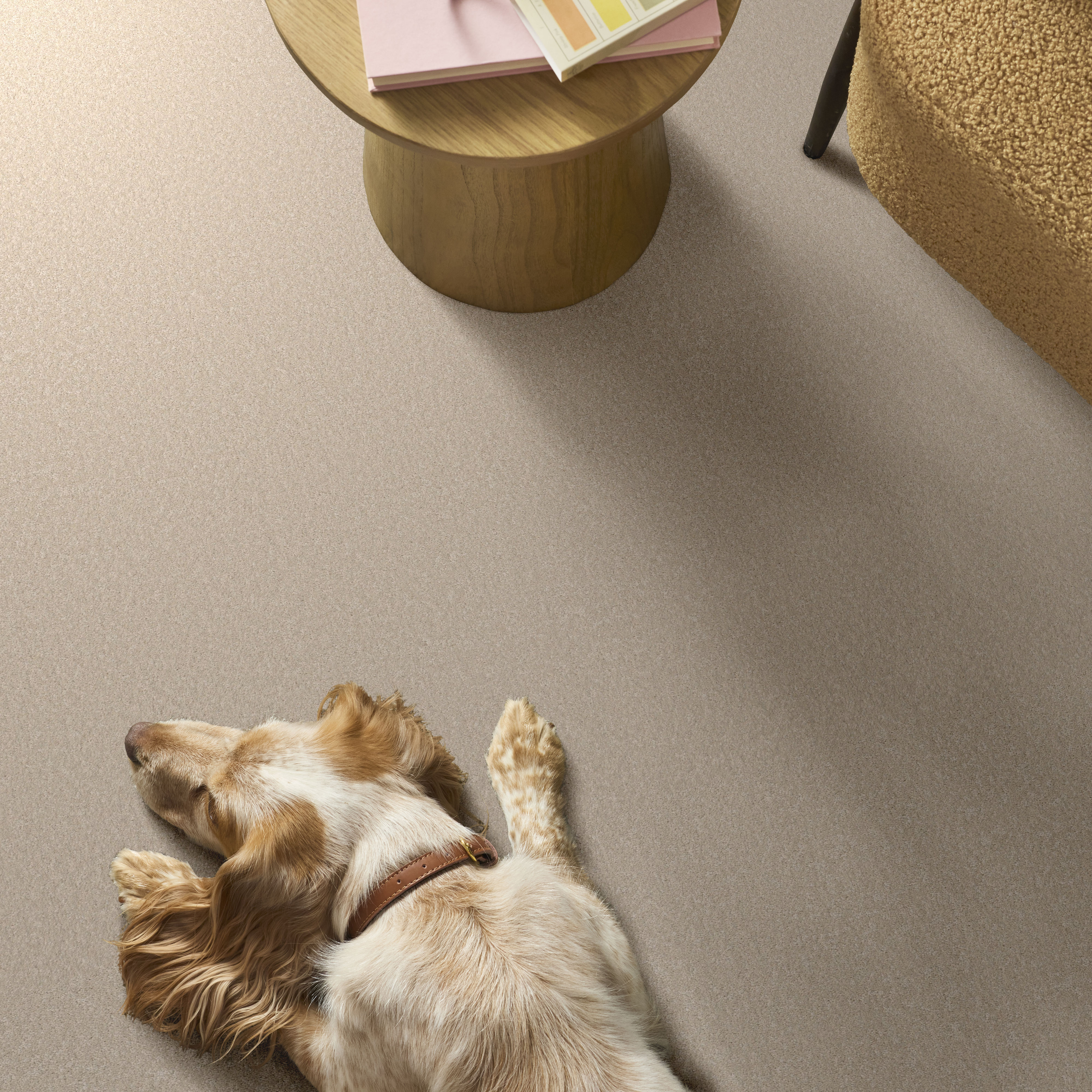 WAY TO GO I SOFT LANDING ROOM