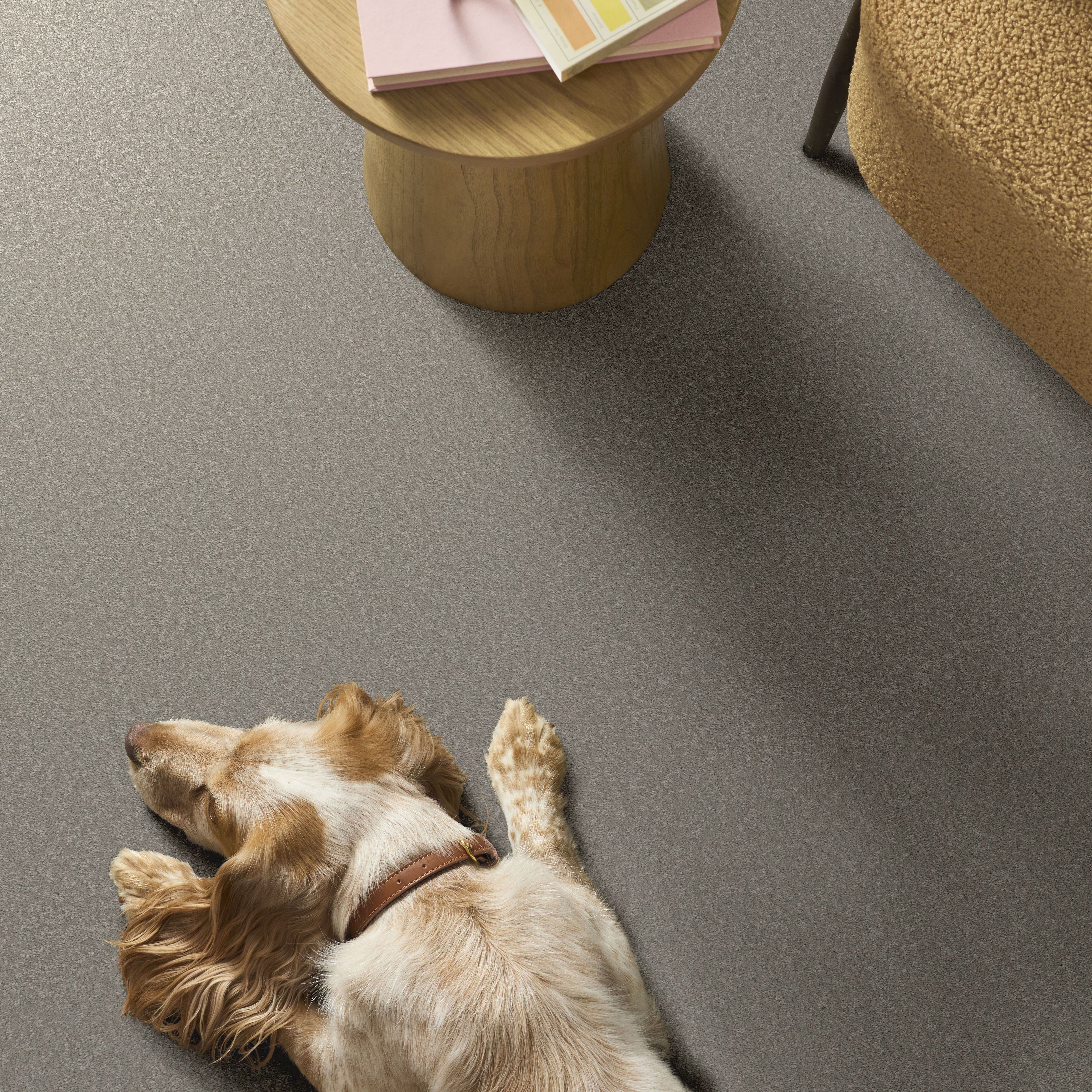 WAY TO GO I TAUPE TONE ROOM