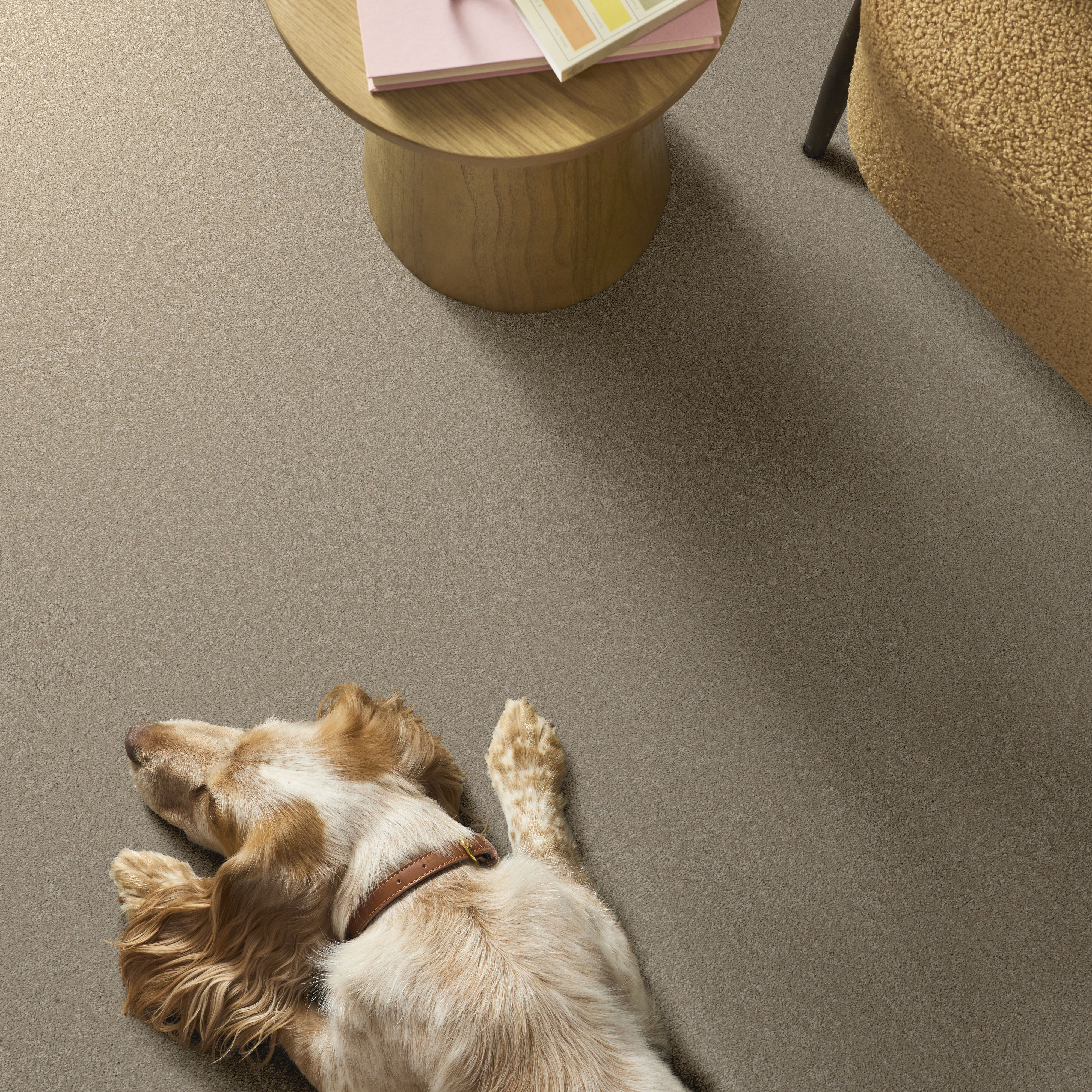 WAY TO GO II DESERT KHAKI ROOM