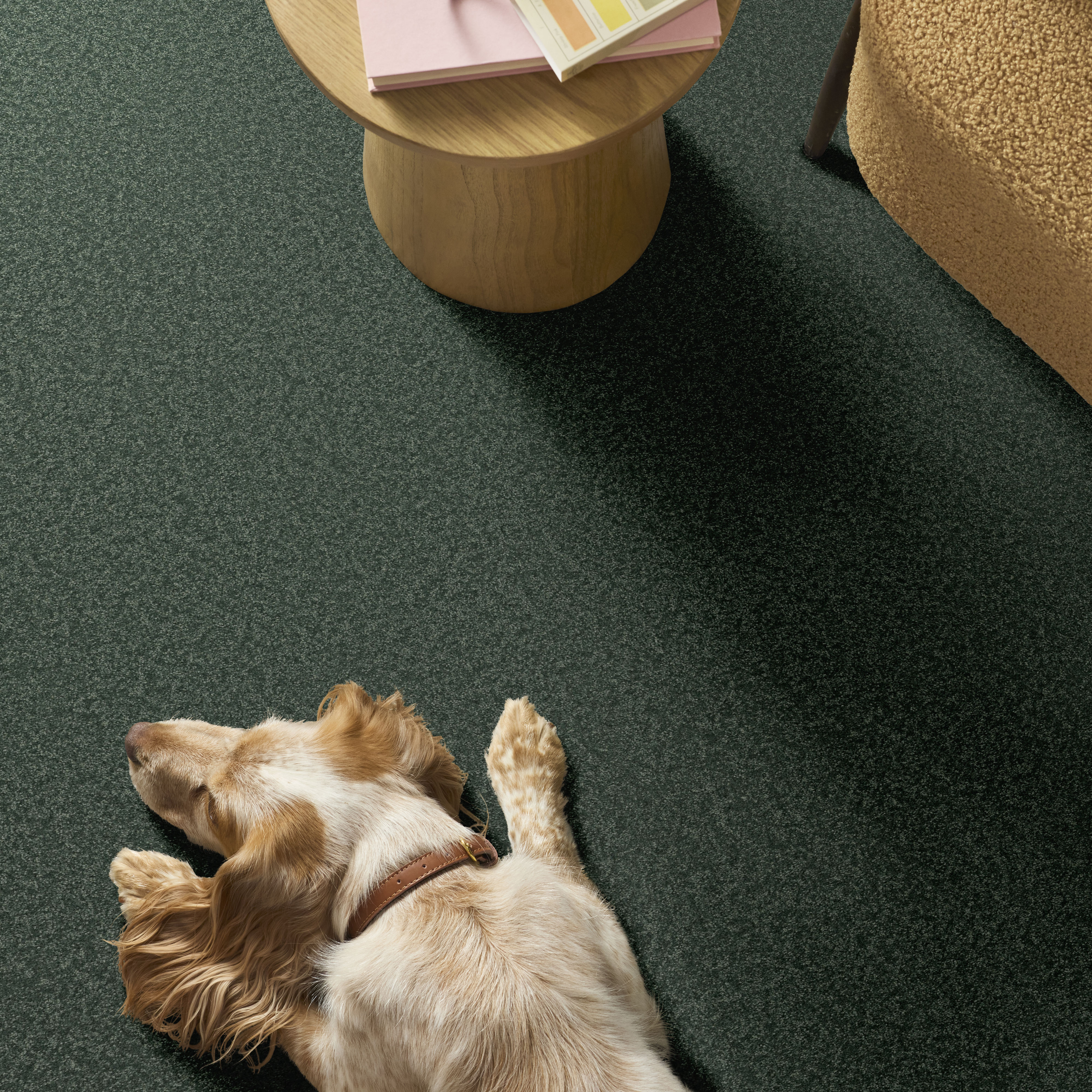 WAY TO GO II ECO GREEN ROOM