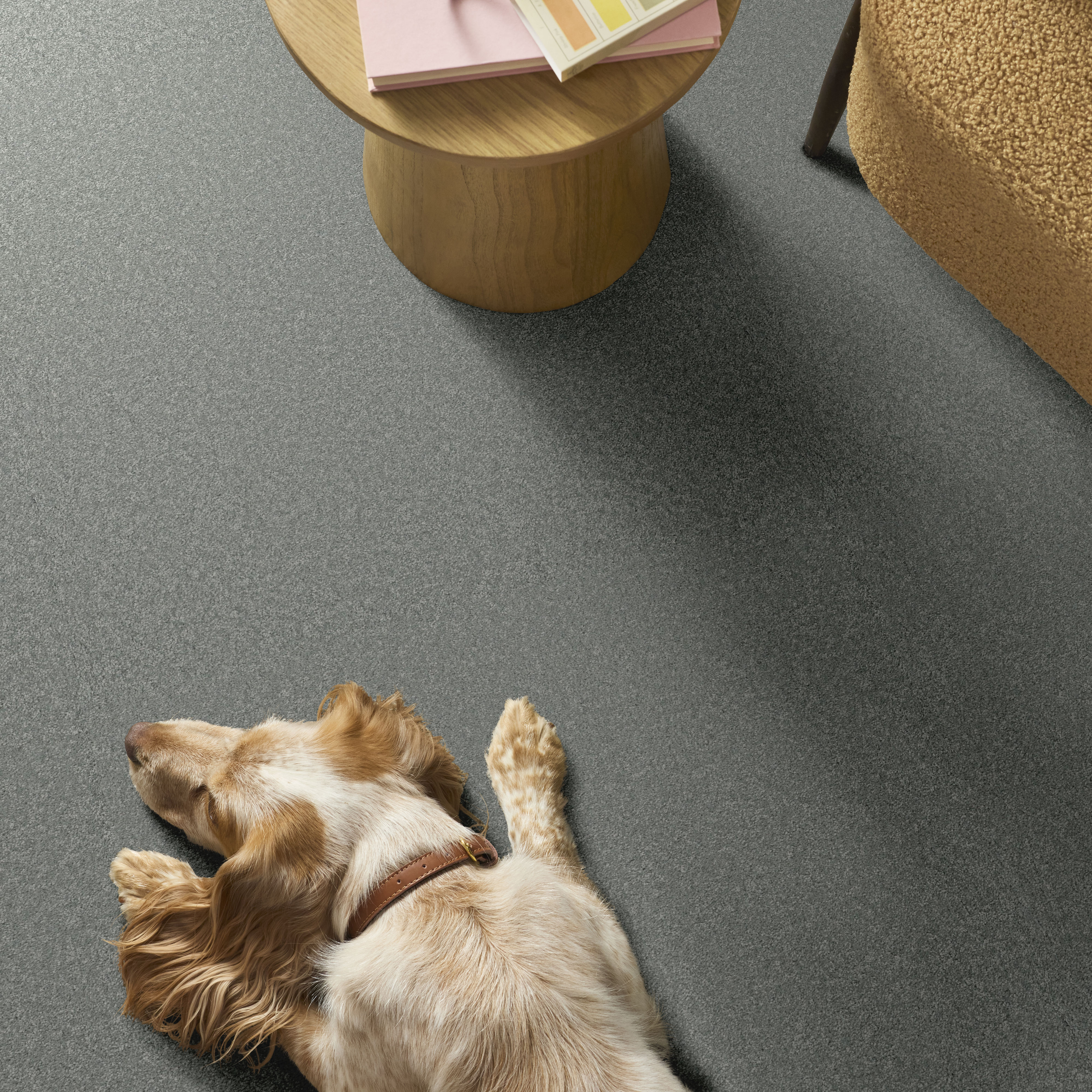 WAY TO GO II DOLPHIN FIN ROOM