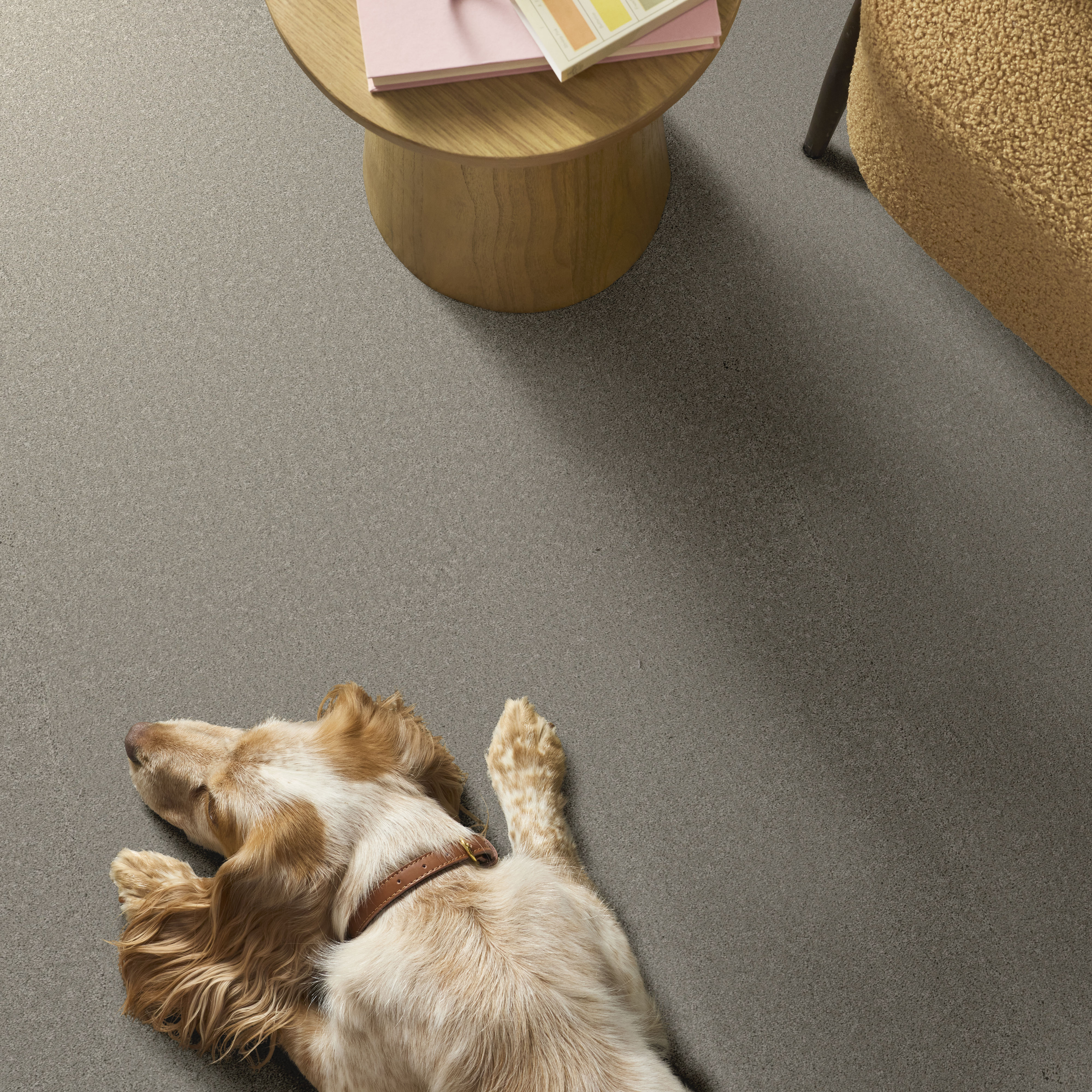 WAY TO GO II TAUPE TONE ROOM