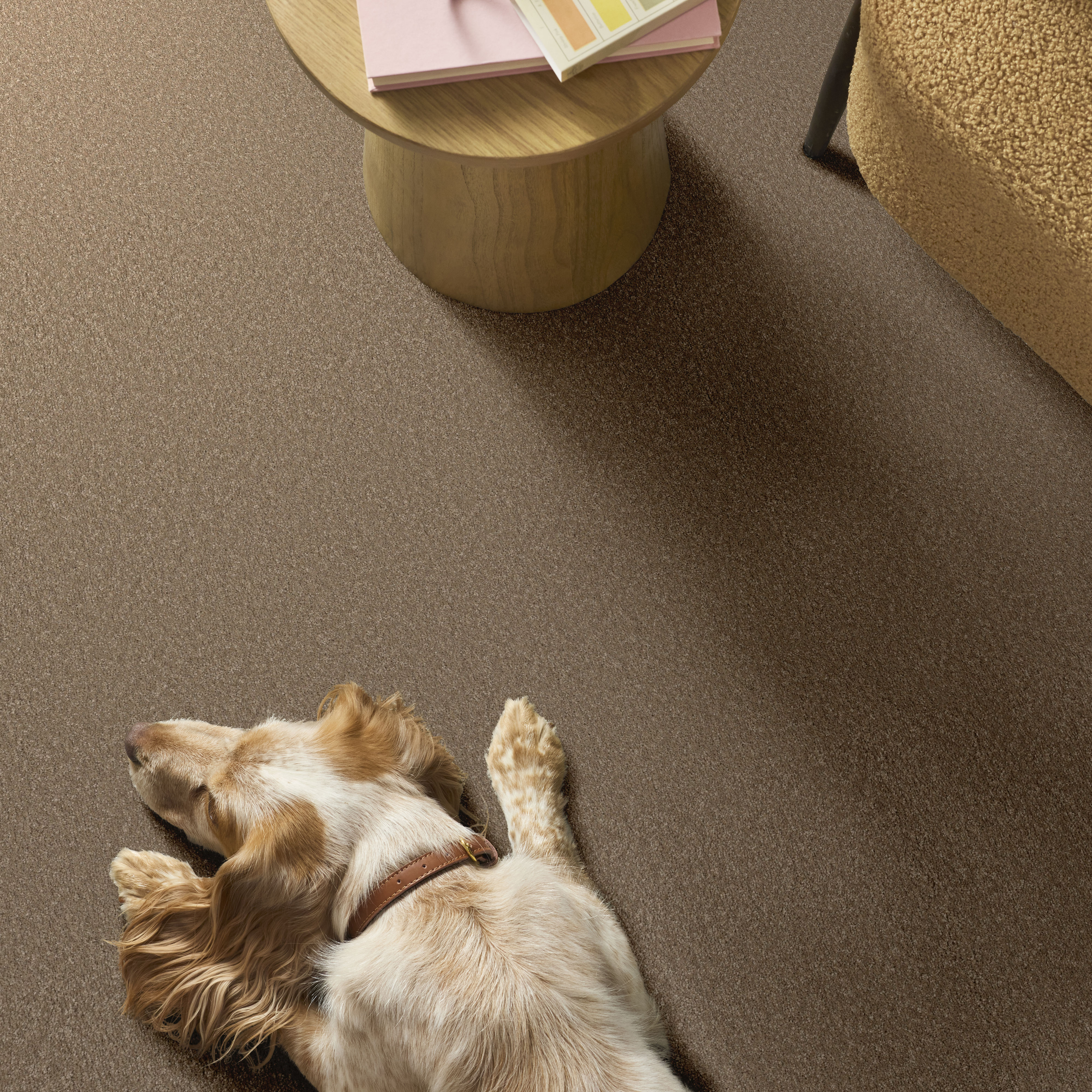 WAY TO GO II POLO TAN ROOM