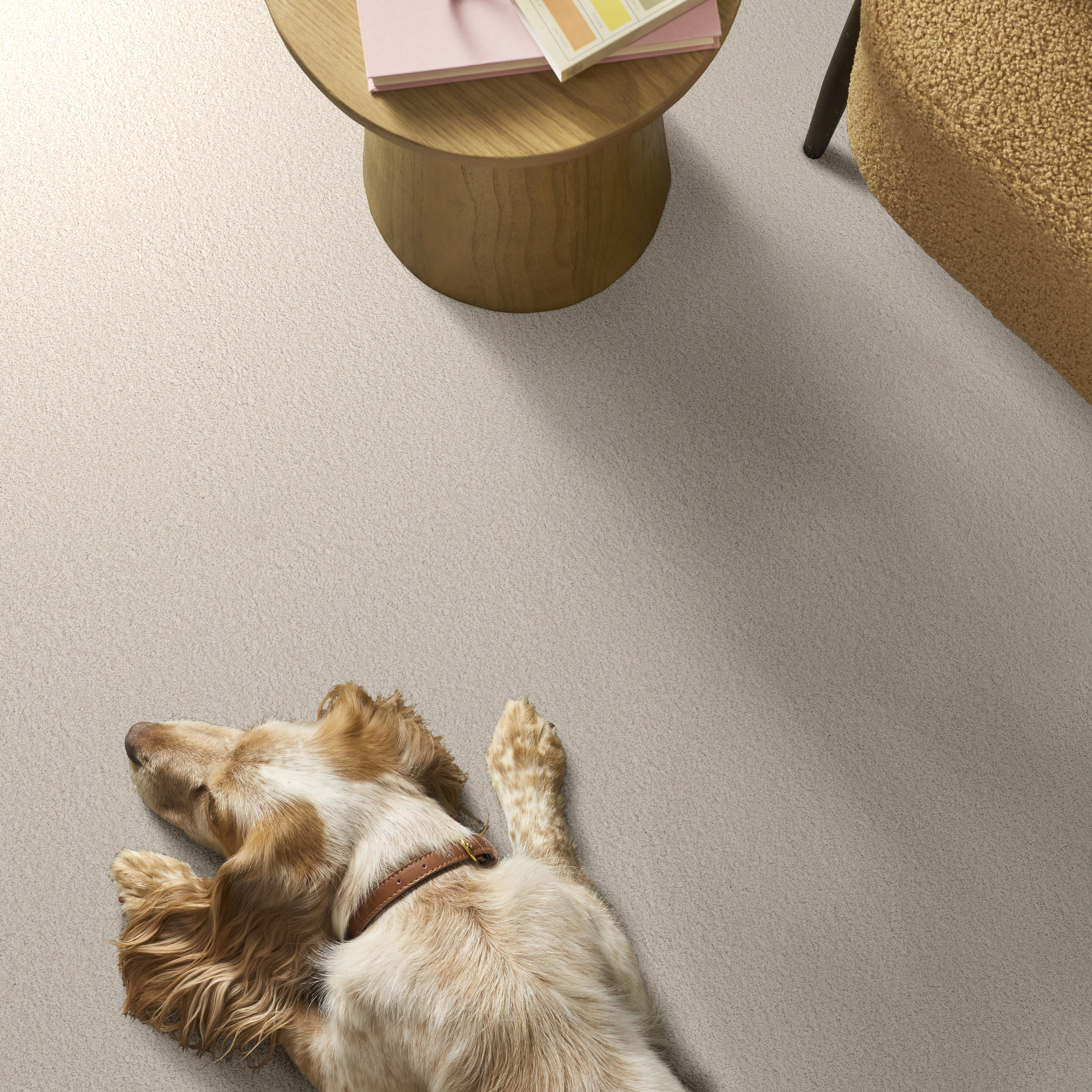 WAY TO GO III ANTIQUE IVORY ROOM