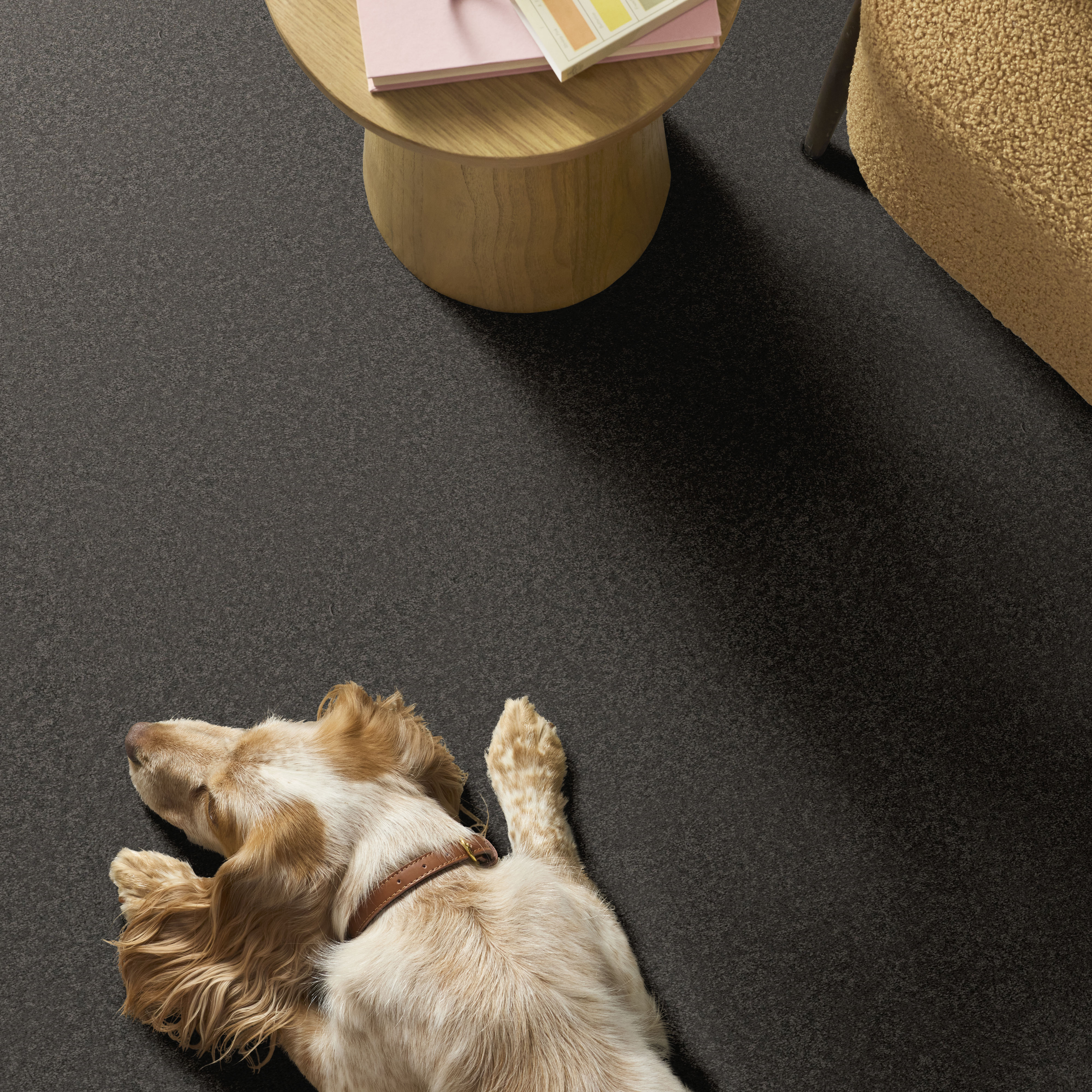 WAY TO GO III GALAXY ROOM