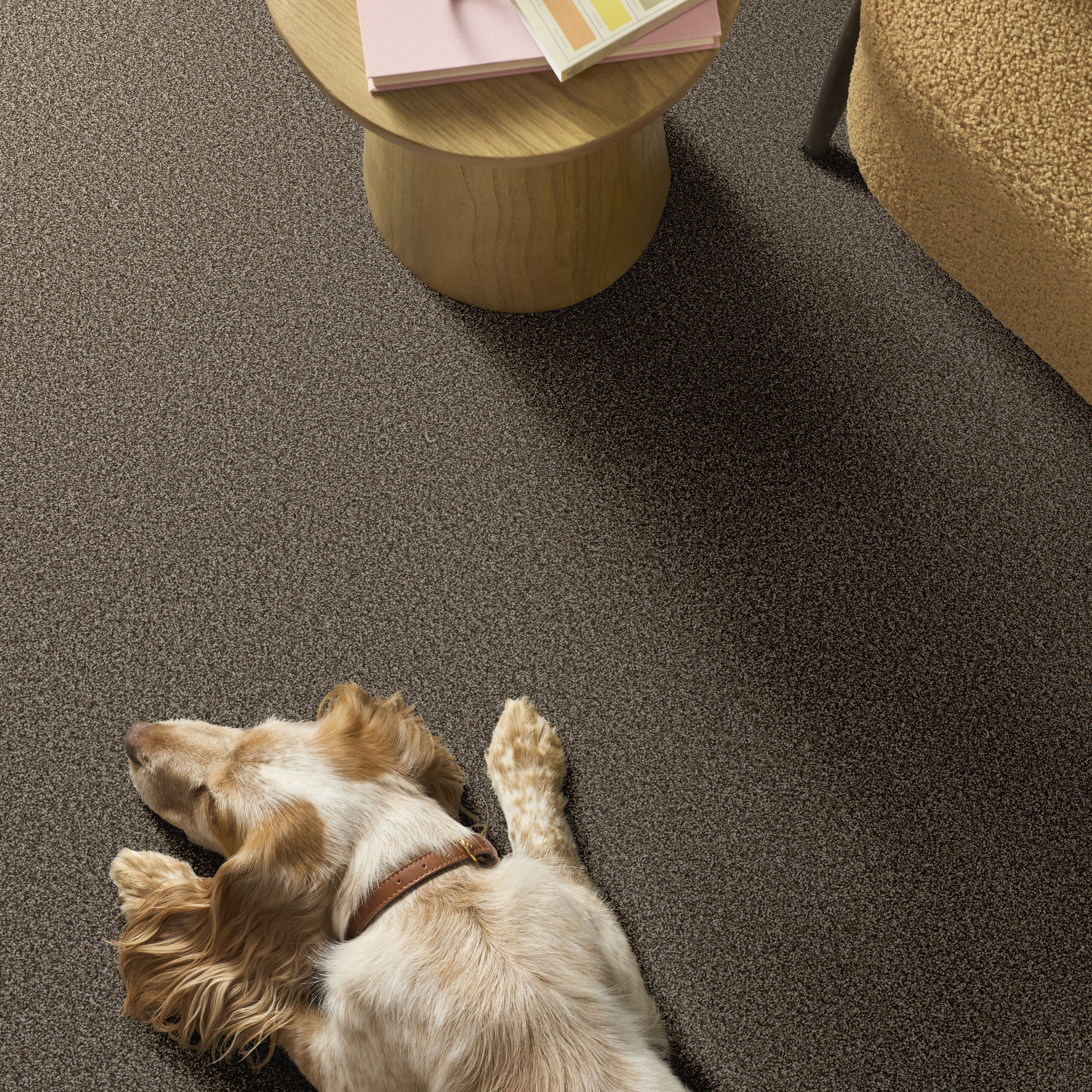 Renewed Energy I FENCE POST ROOM