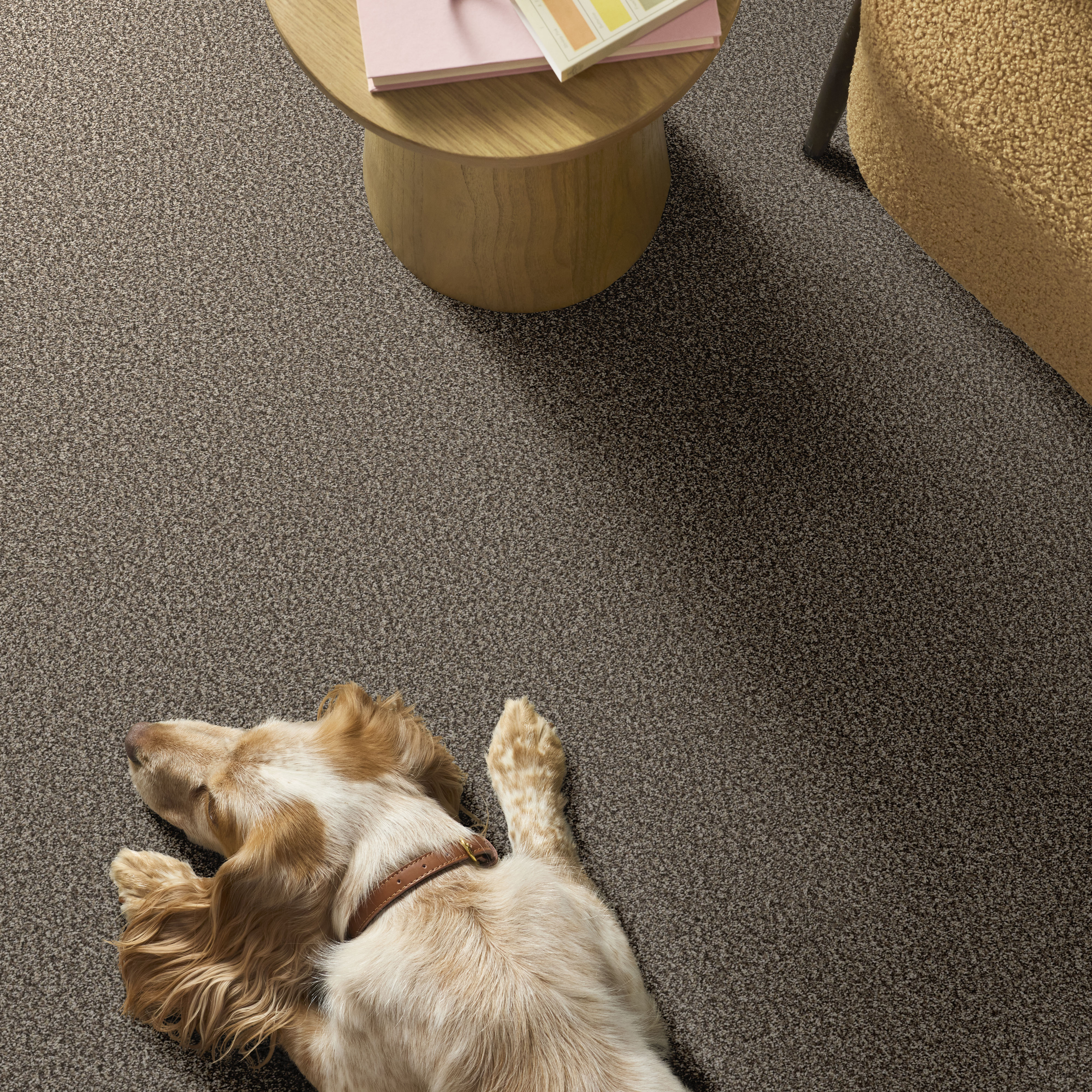 RENEWED ENERGY II COUNTRYSIDE ROOM