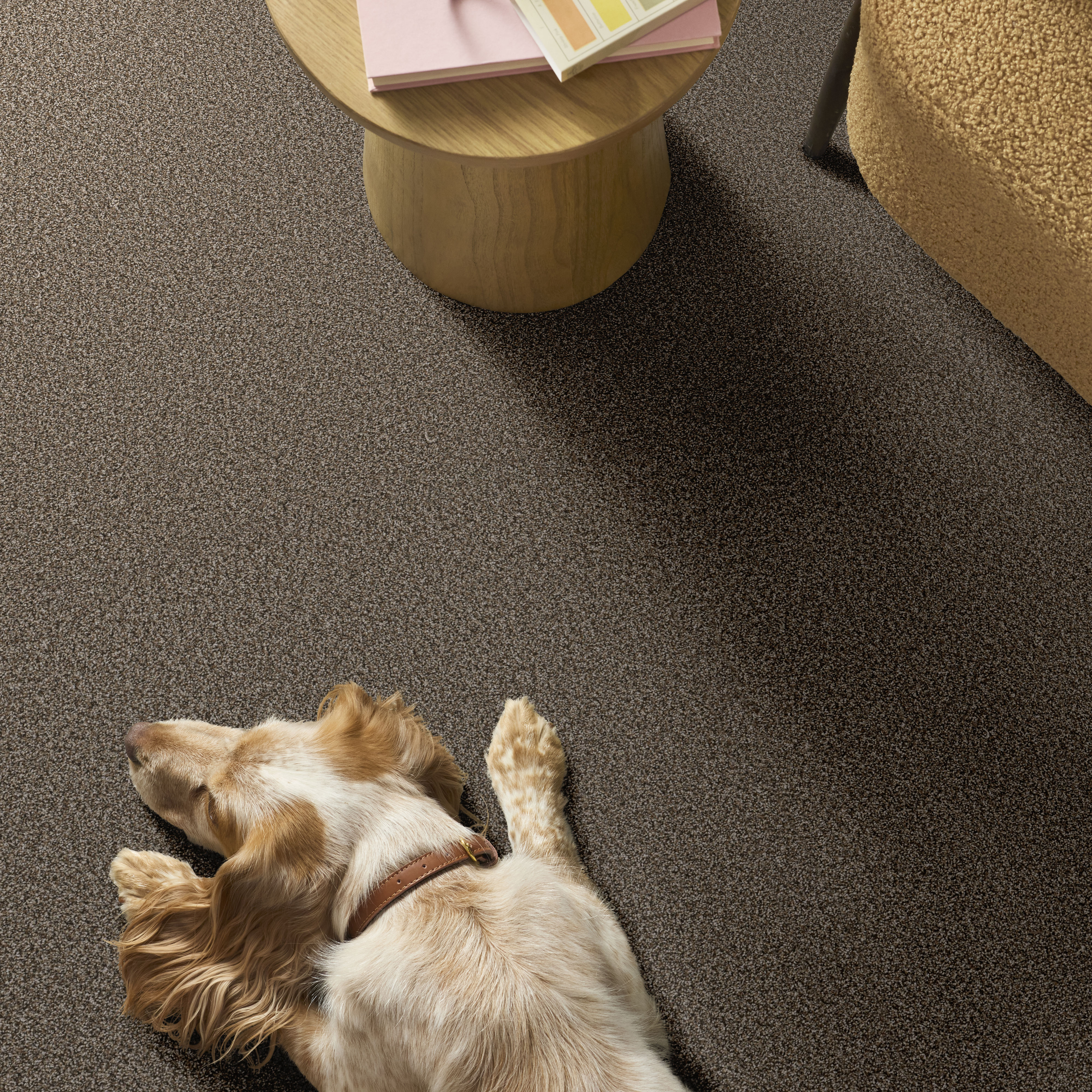 RENEWED ENERGY II FENCE POST ROOM