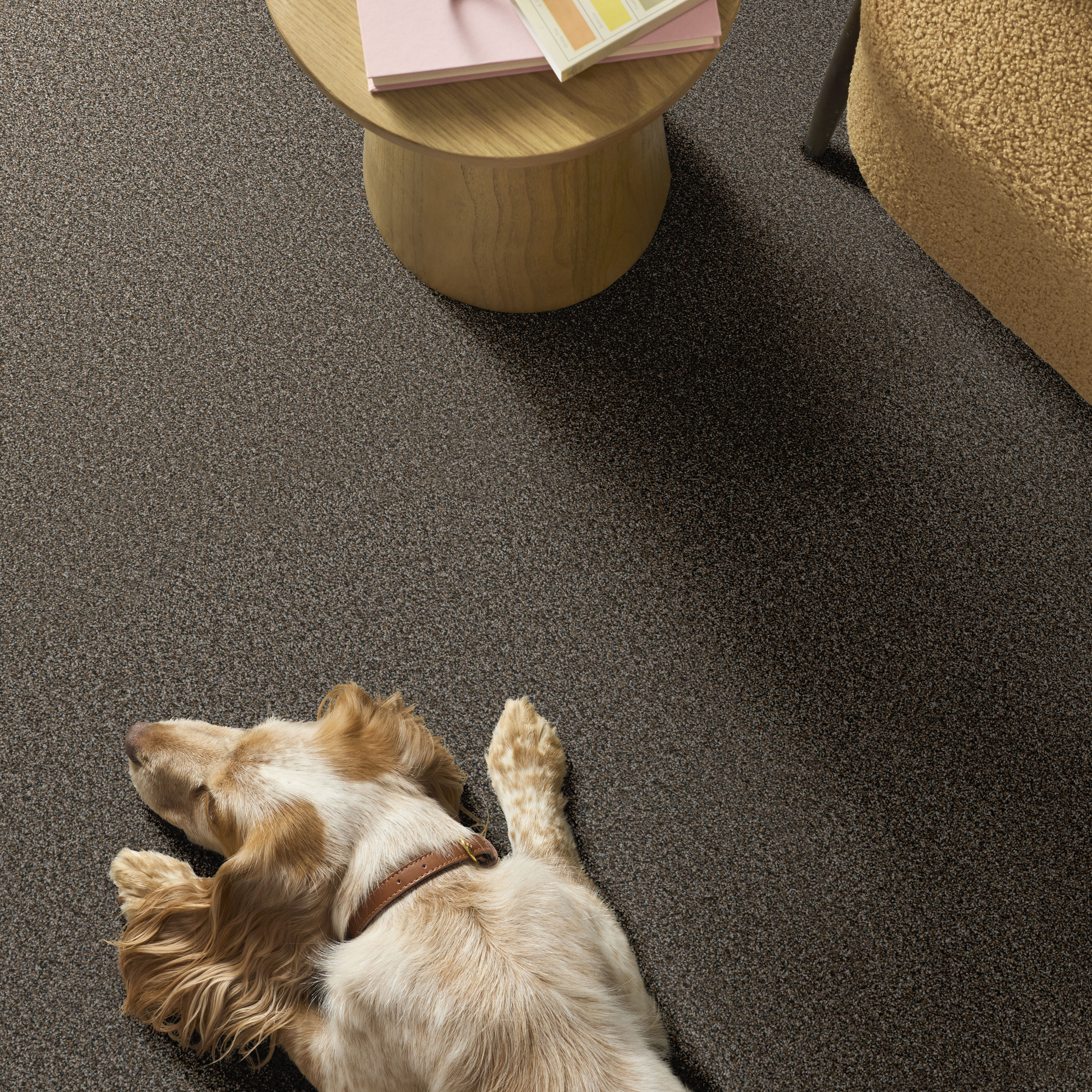 RENEWED ENERGY II MINERAL BED ROOM