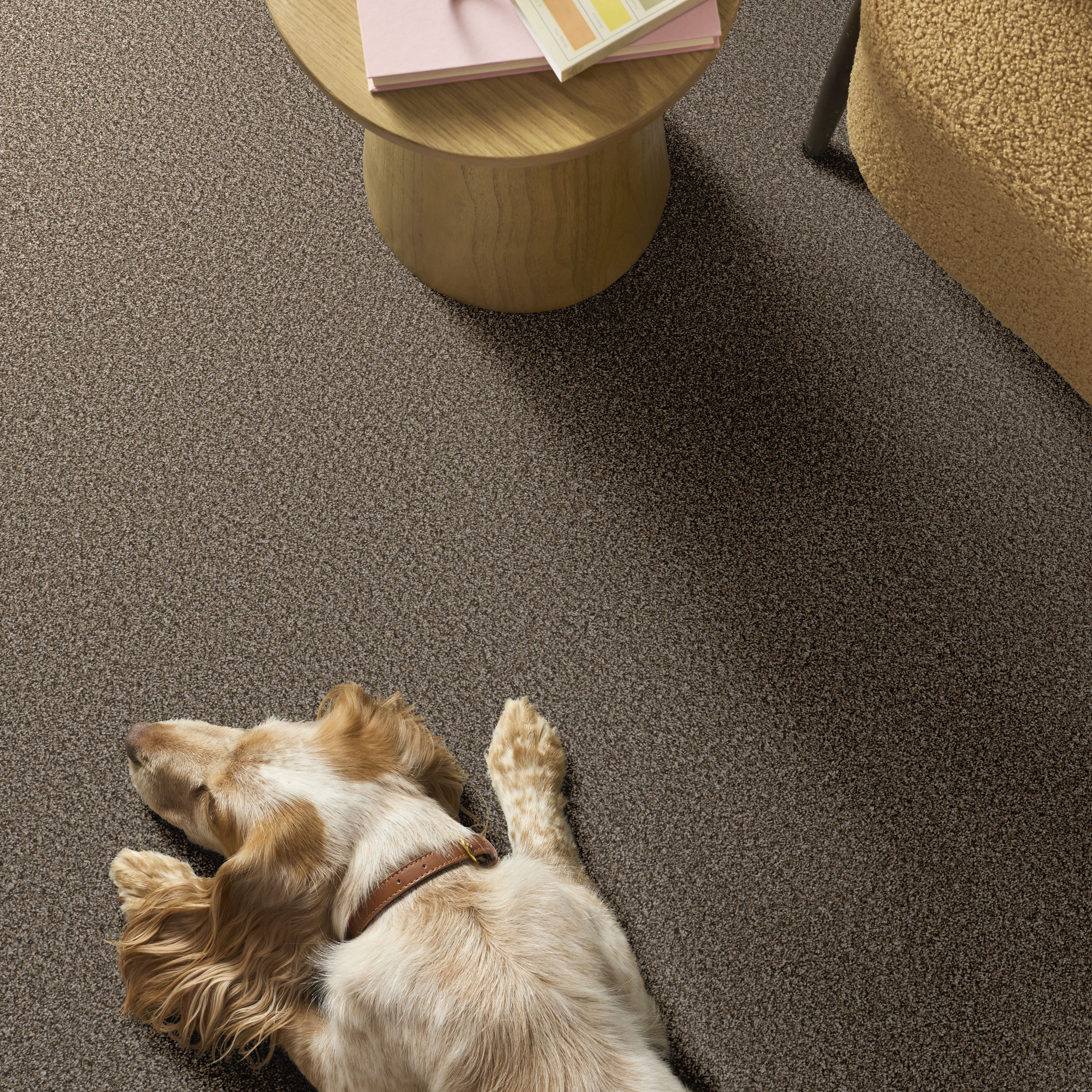 REMIXED CLASSIC DRY CREEK ROOM