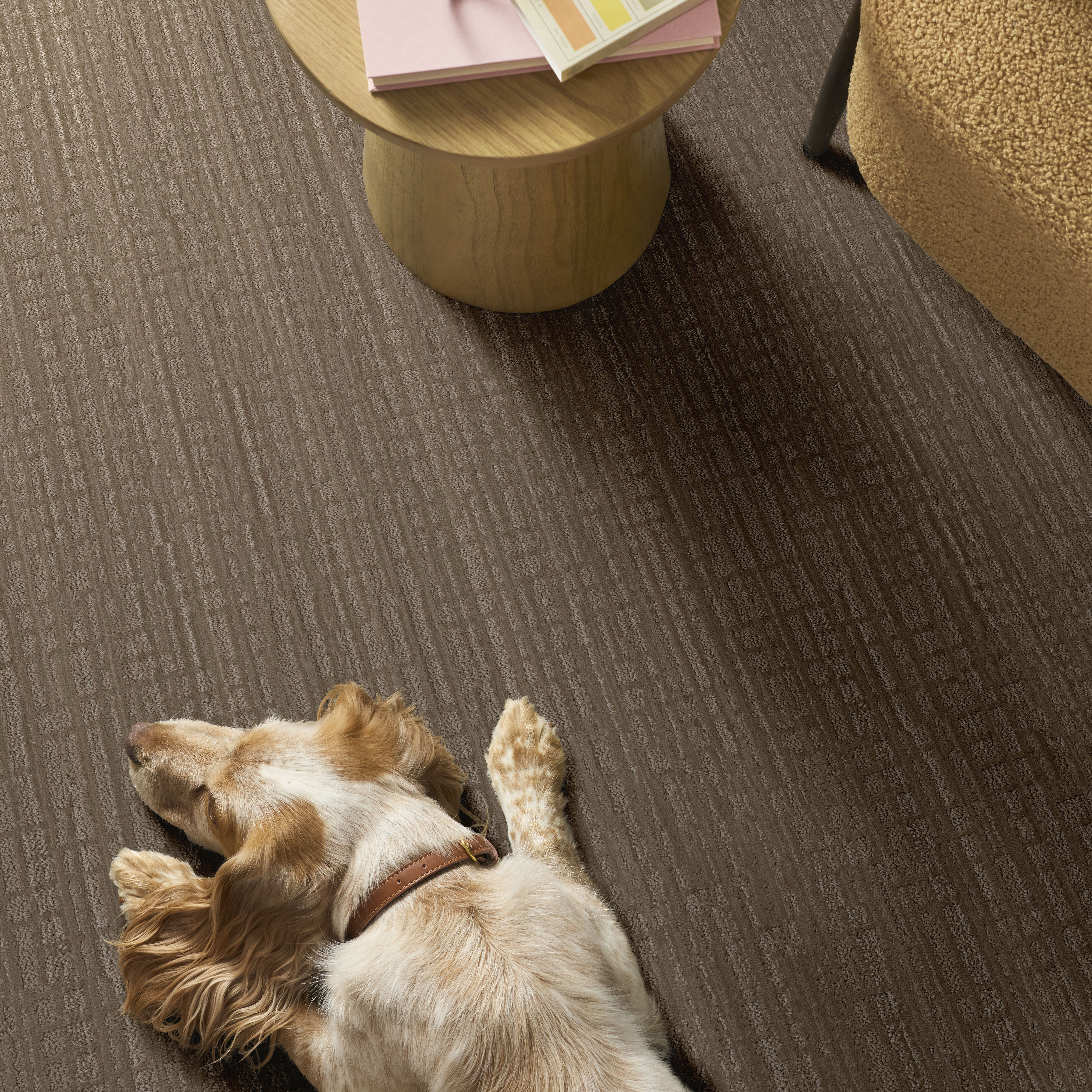 SKYLINE SHIFT ACORN ROOM