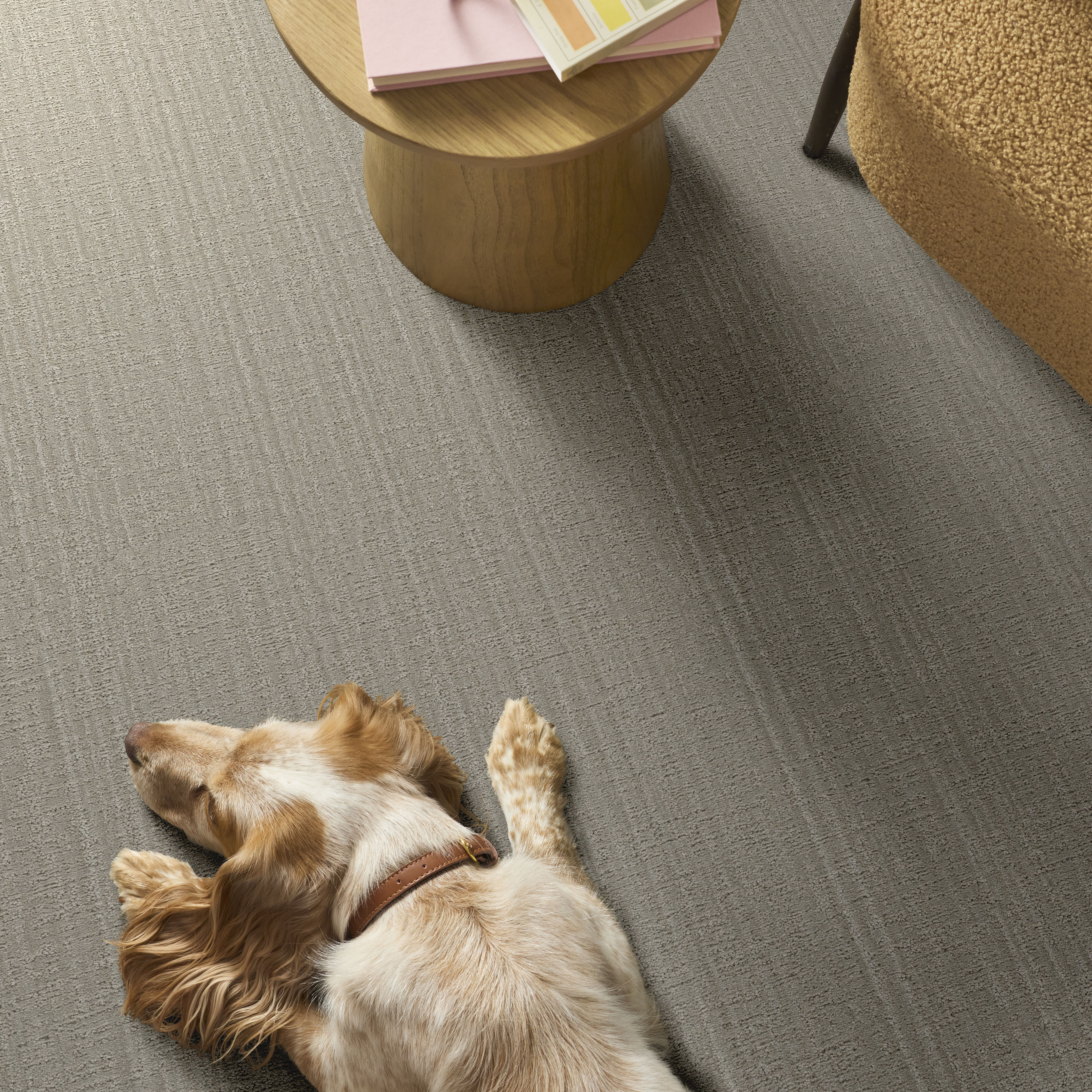 SHADY STROLL DREAMY BEIGE ROOM