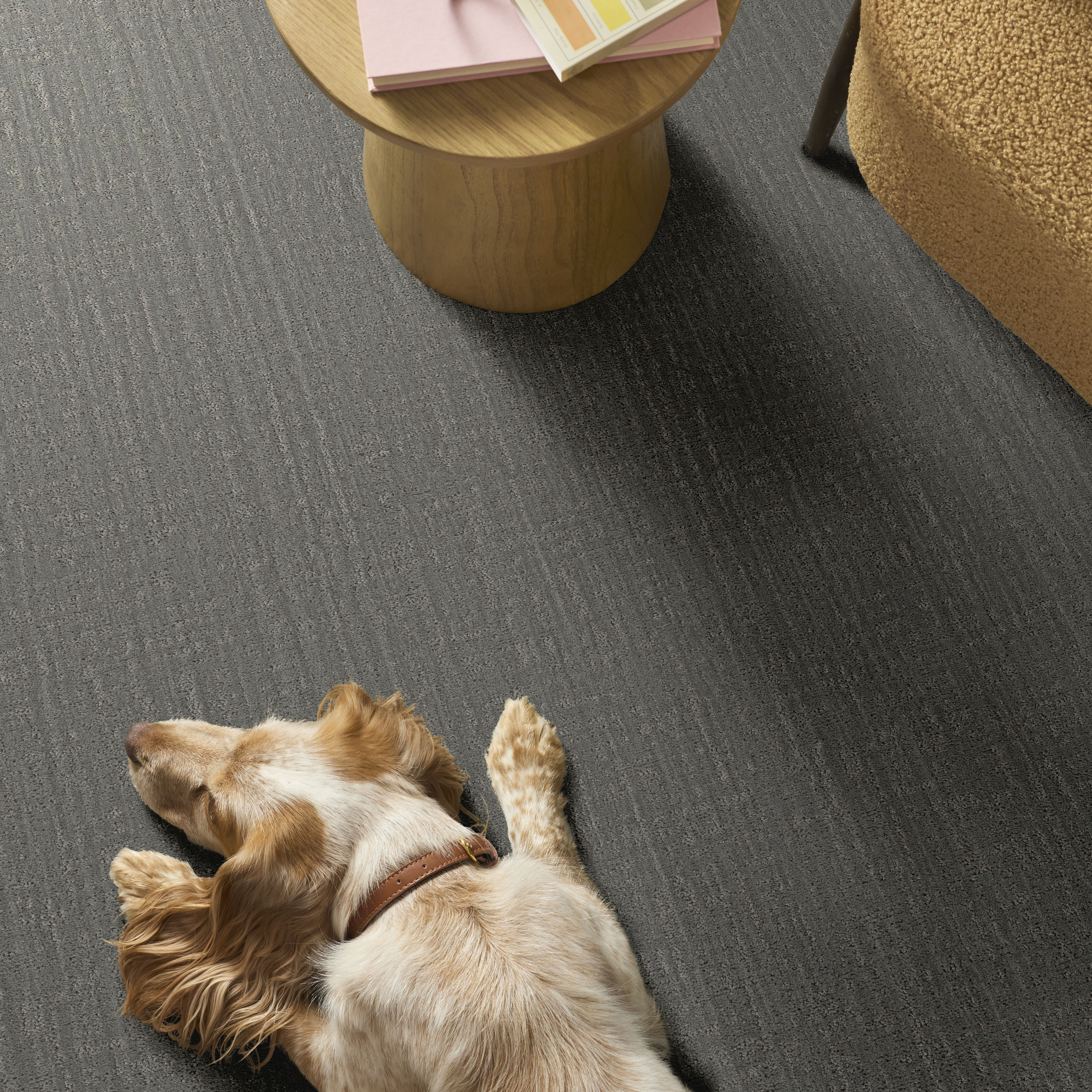 SHADY STROLL SHEER TAUPE ROOM