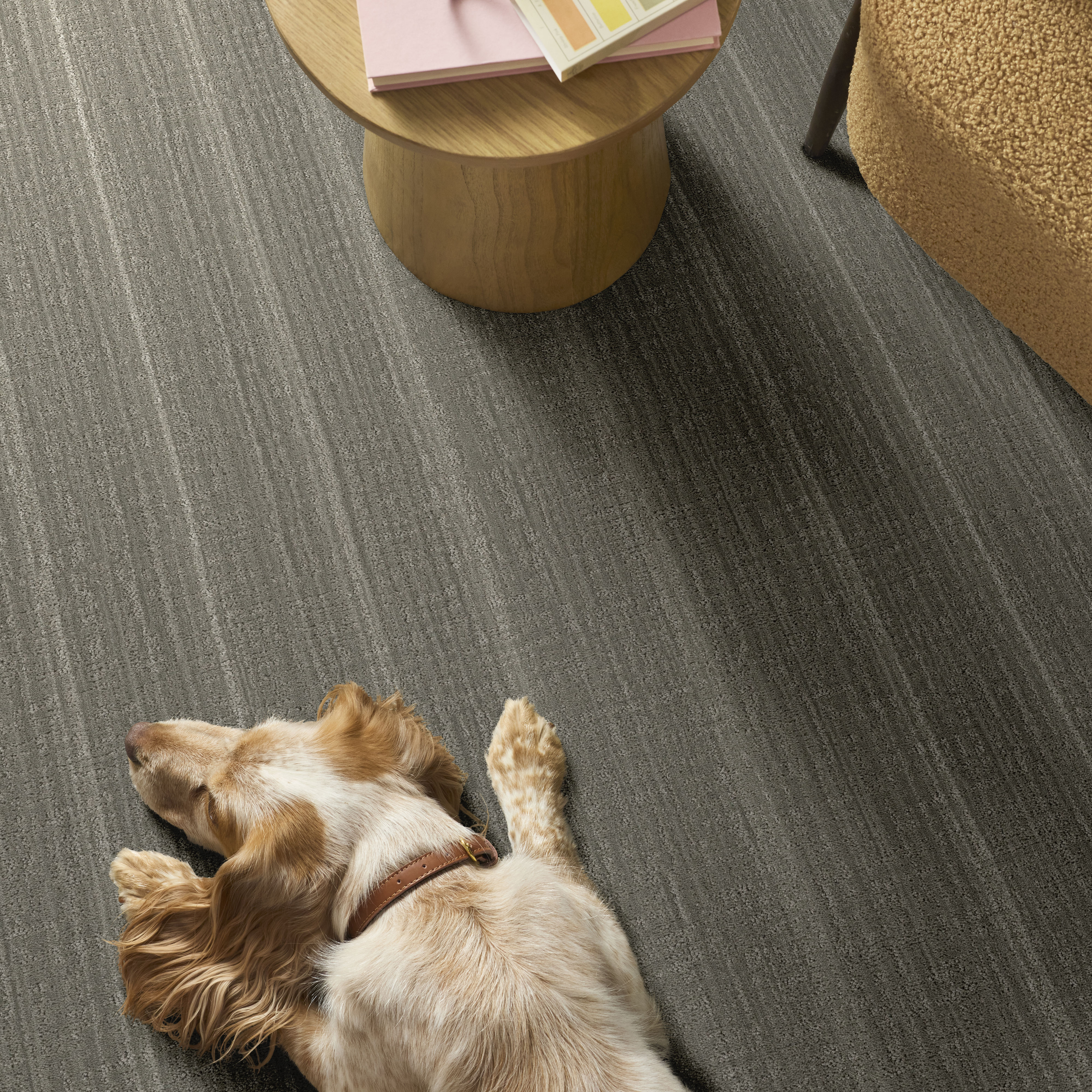 SHADY STROLL STONEHAVEN ROOM