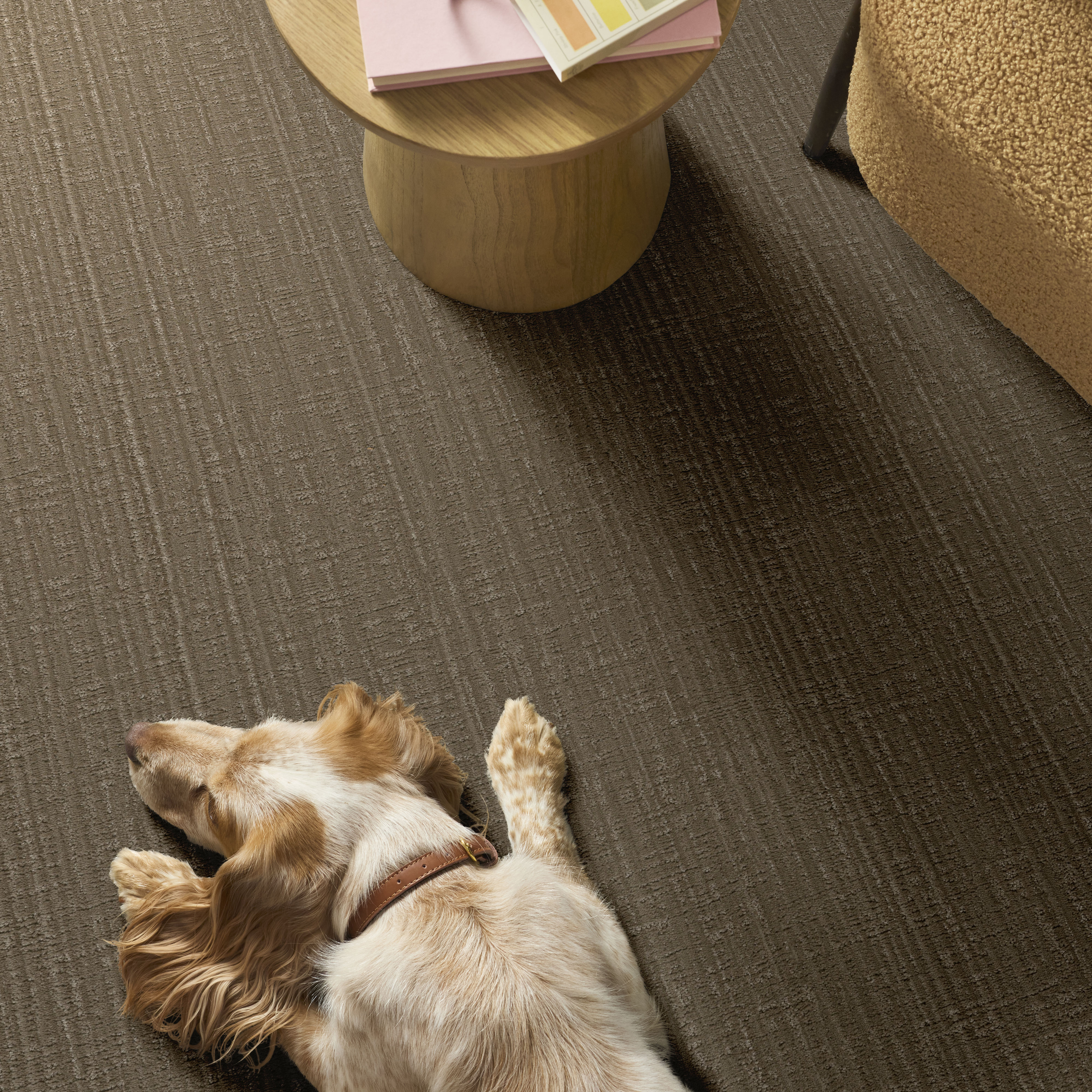 SHADY STROLL ACORN ROOM