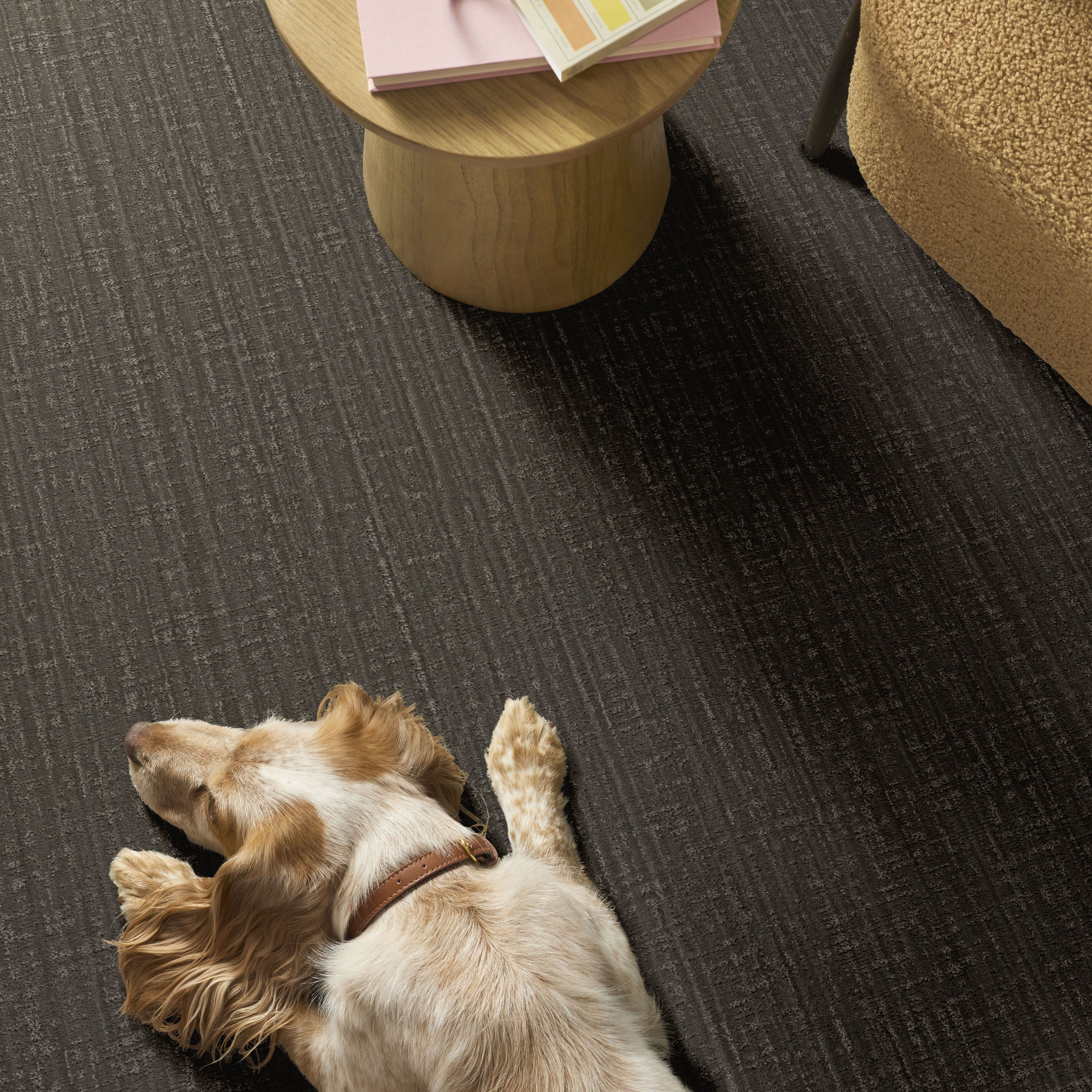 SHADY STROLL TREE BARK ROOM