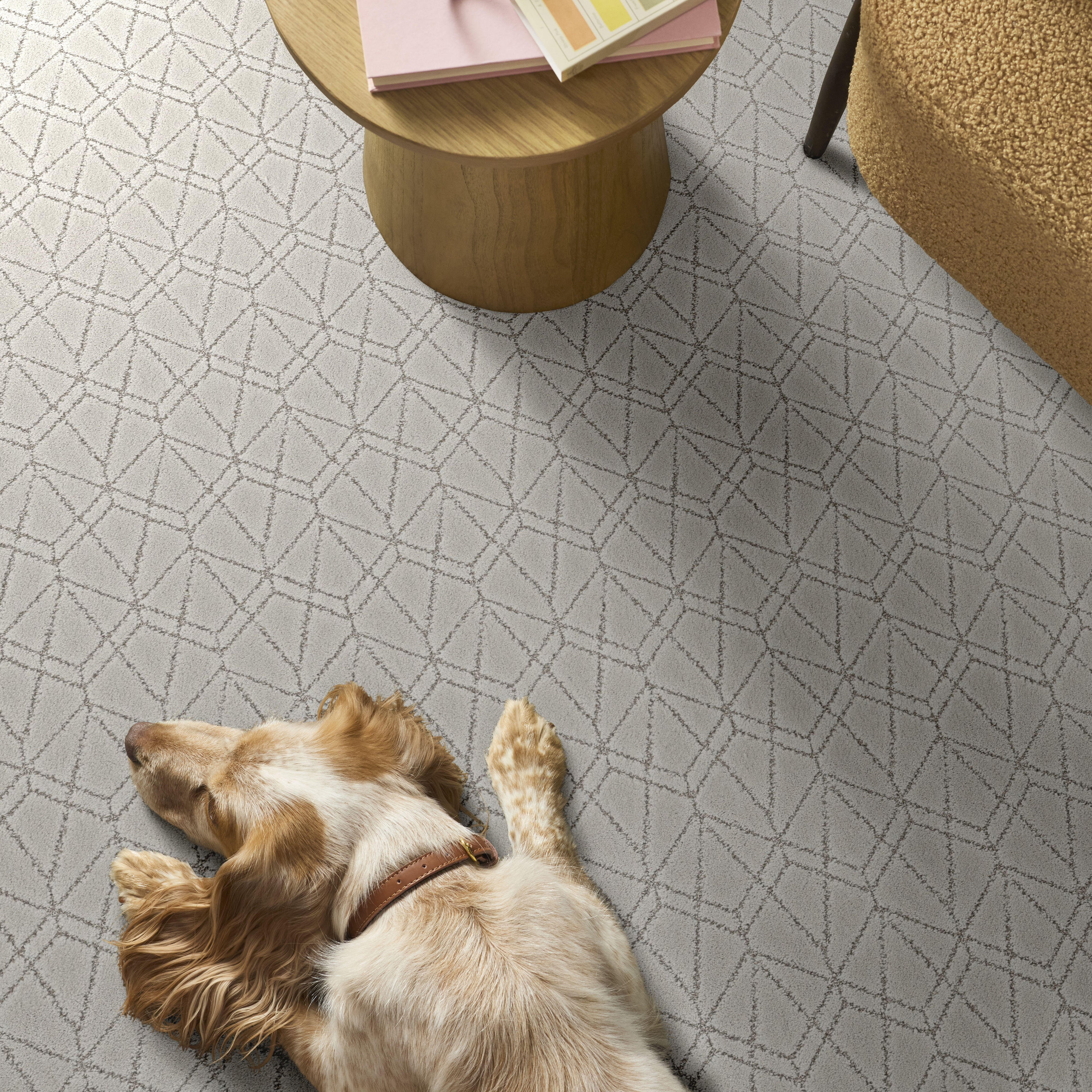 POINT OF VIEW FROZEN ROOM