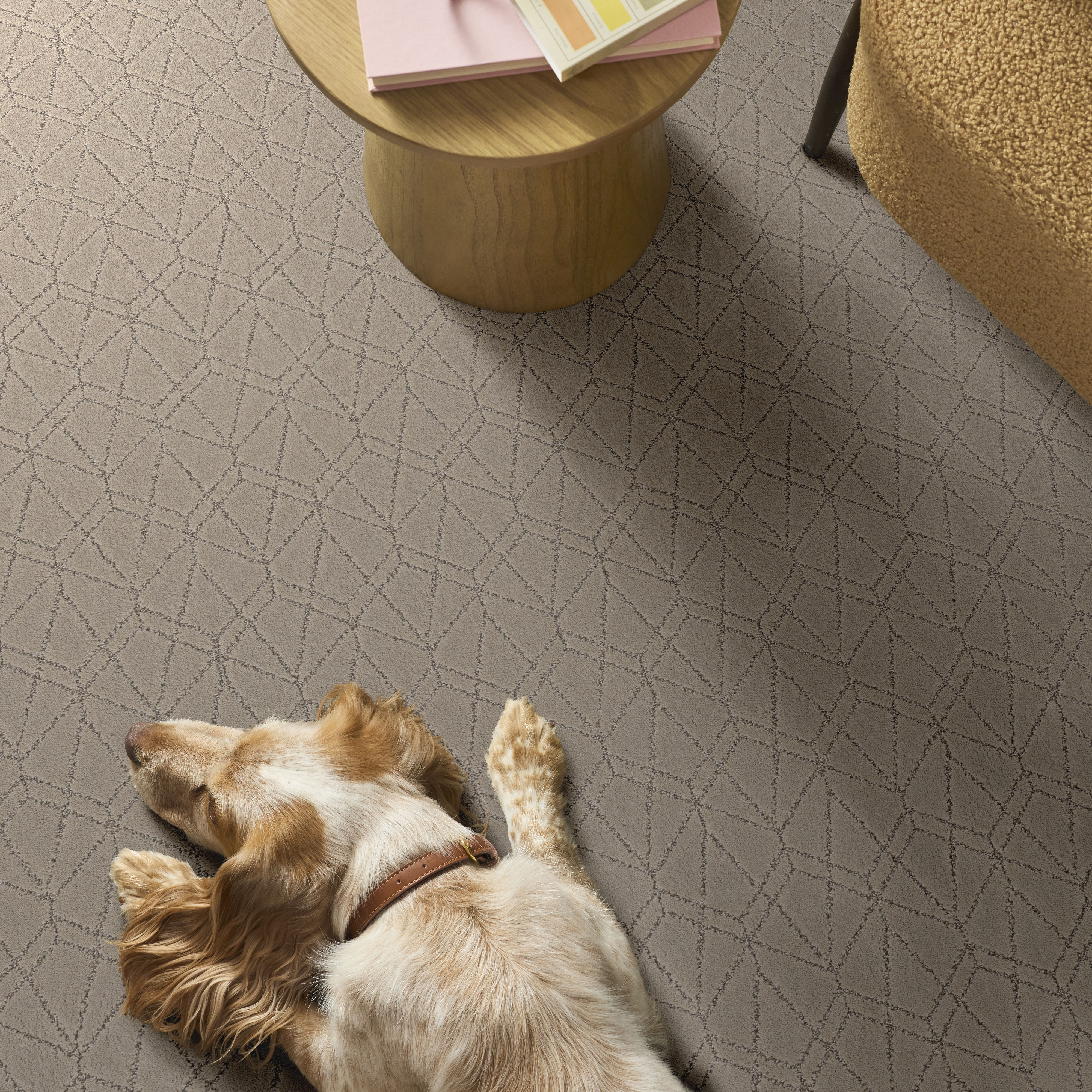 POINT OF VIEW CHIC GREIGE ROOM