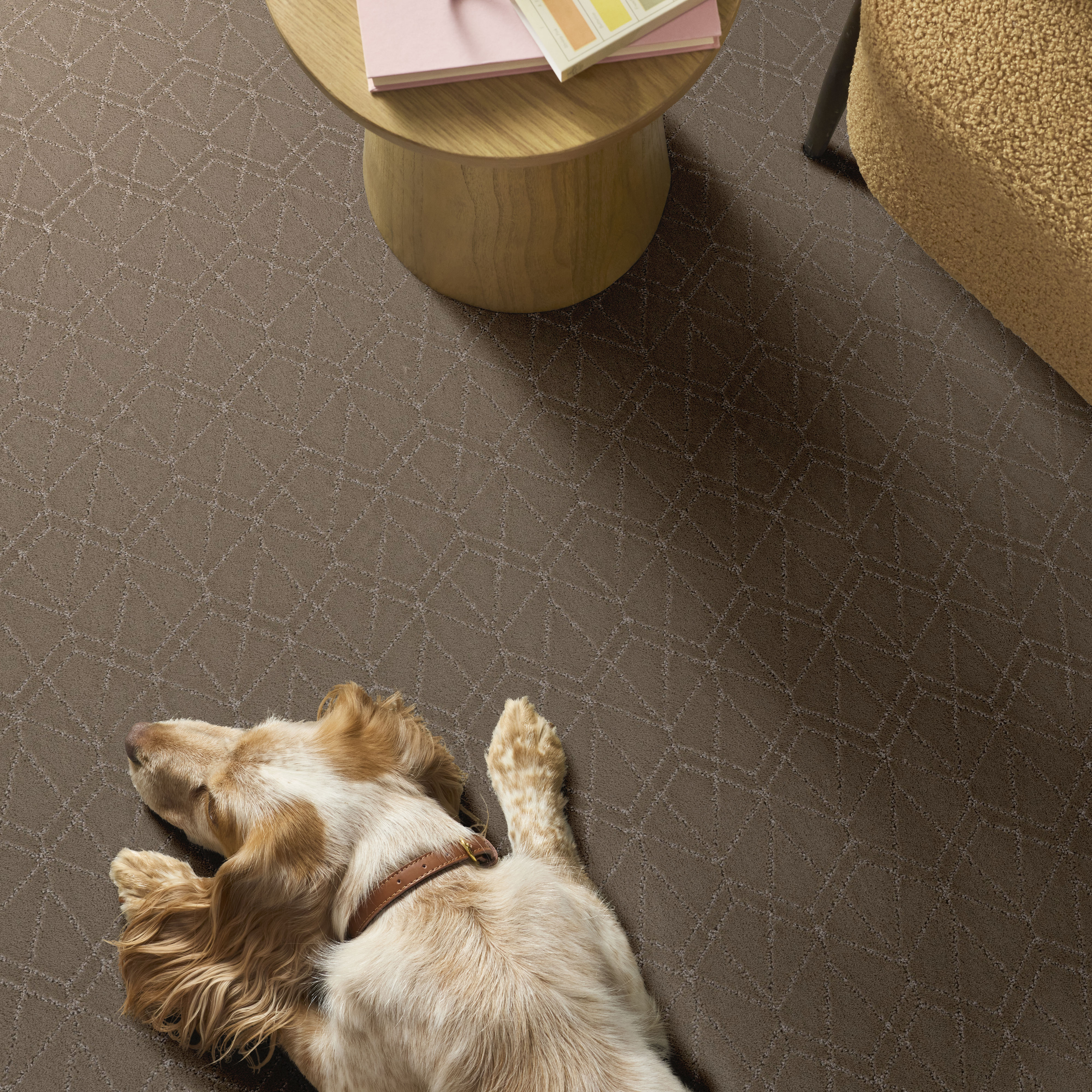 POINT OF VIEW CAMEO ROOM