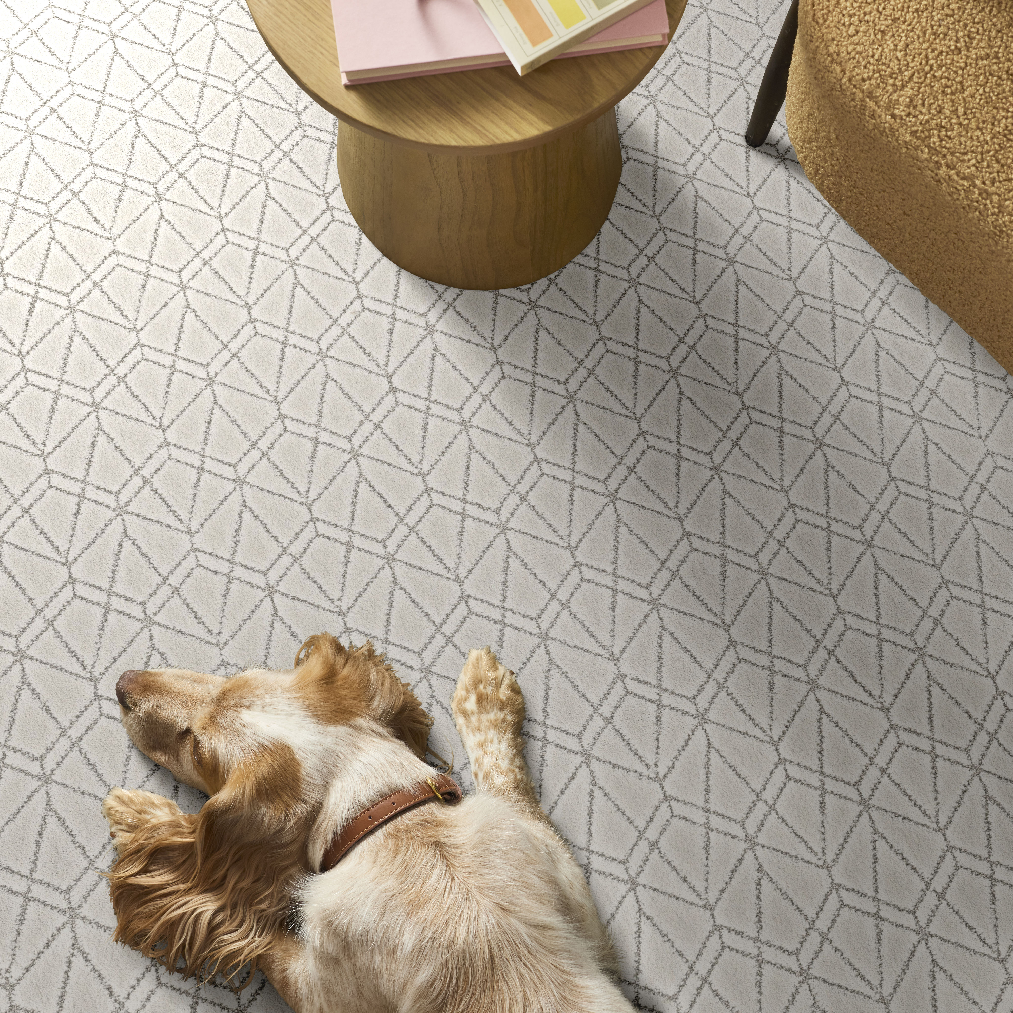 POINT OF VIEW SNOWFALL ROOM