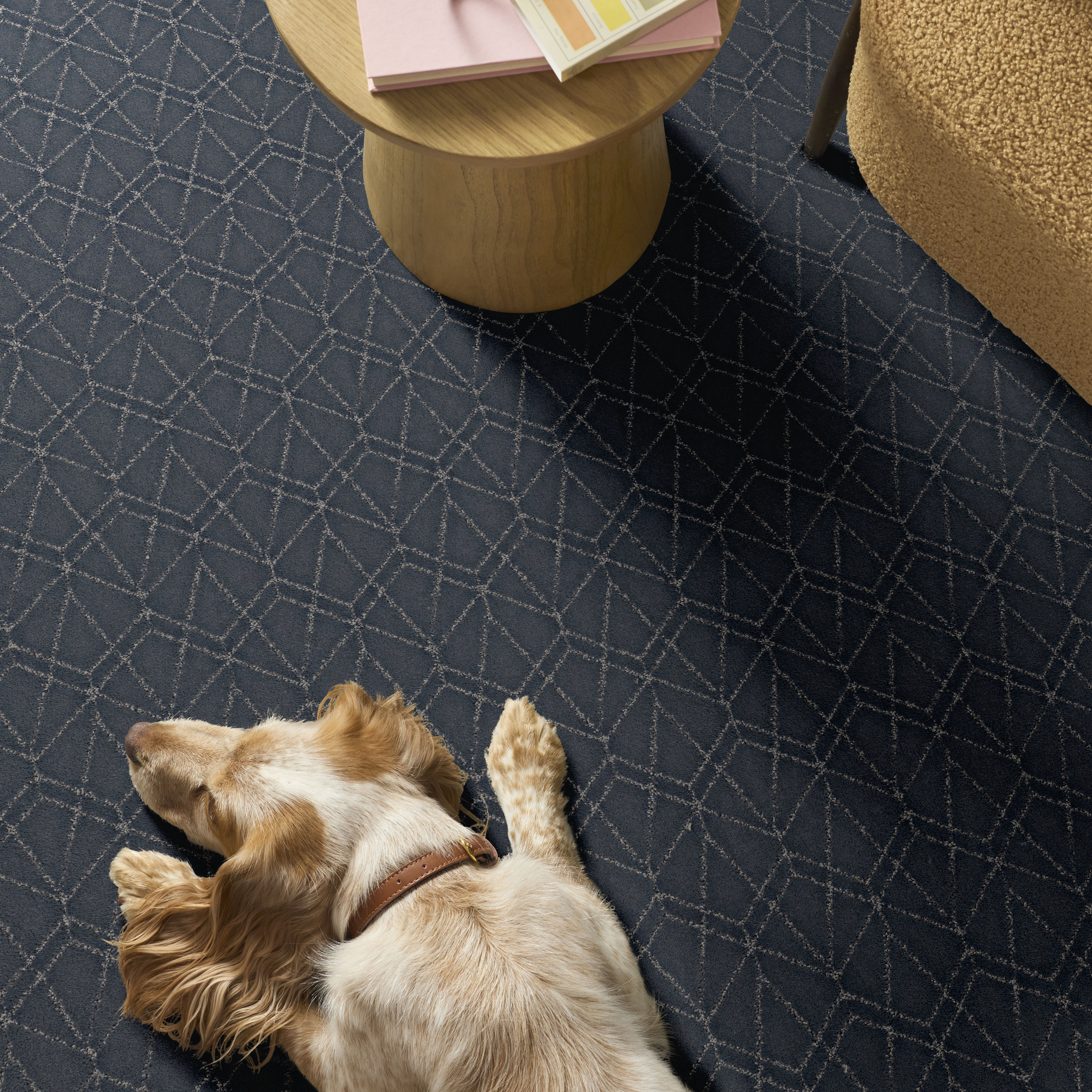 POINT OF VIEW REFINED ROOM