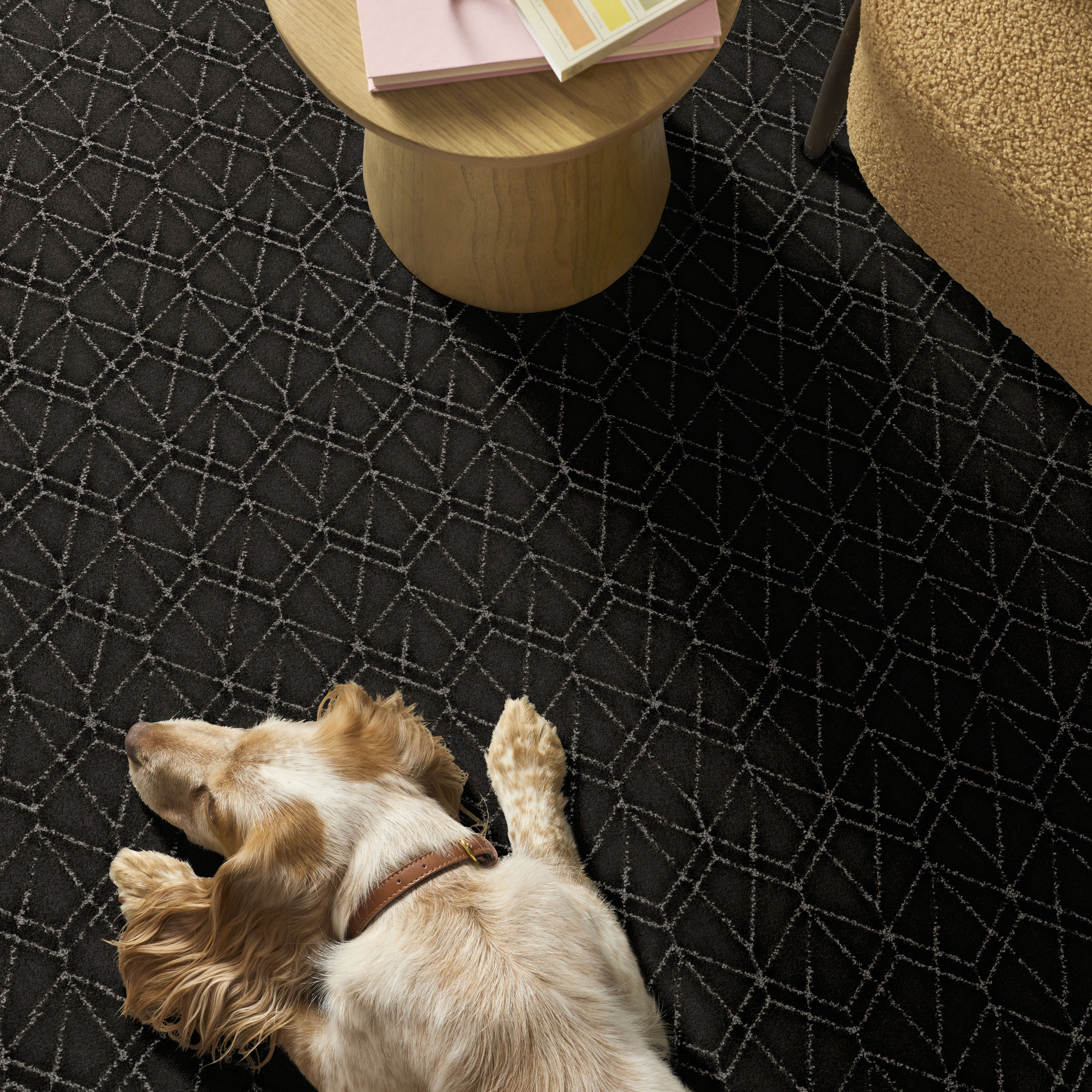 POINT OF VIEW CAFE NOIR ROOM