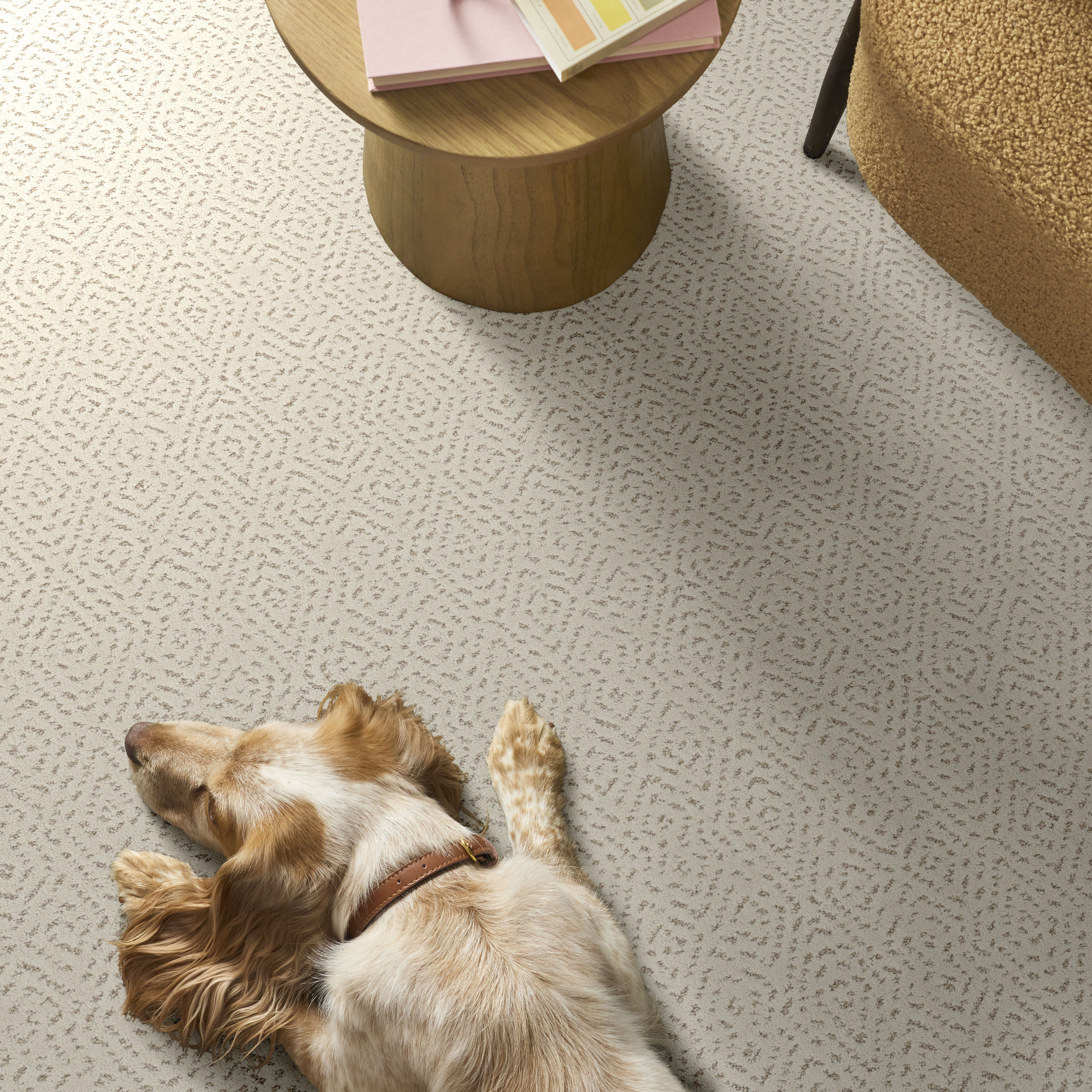 ELABORATE ARTIFACT NATURAL ROOM