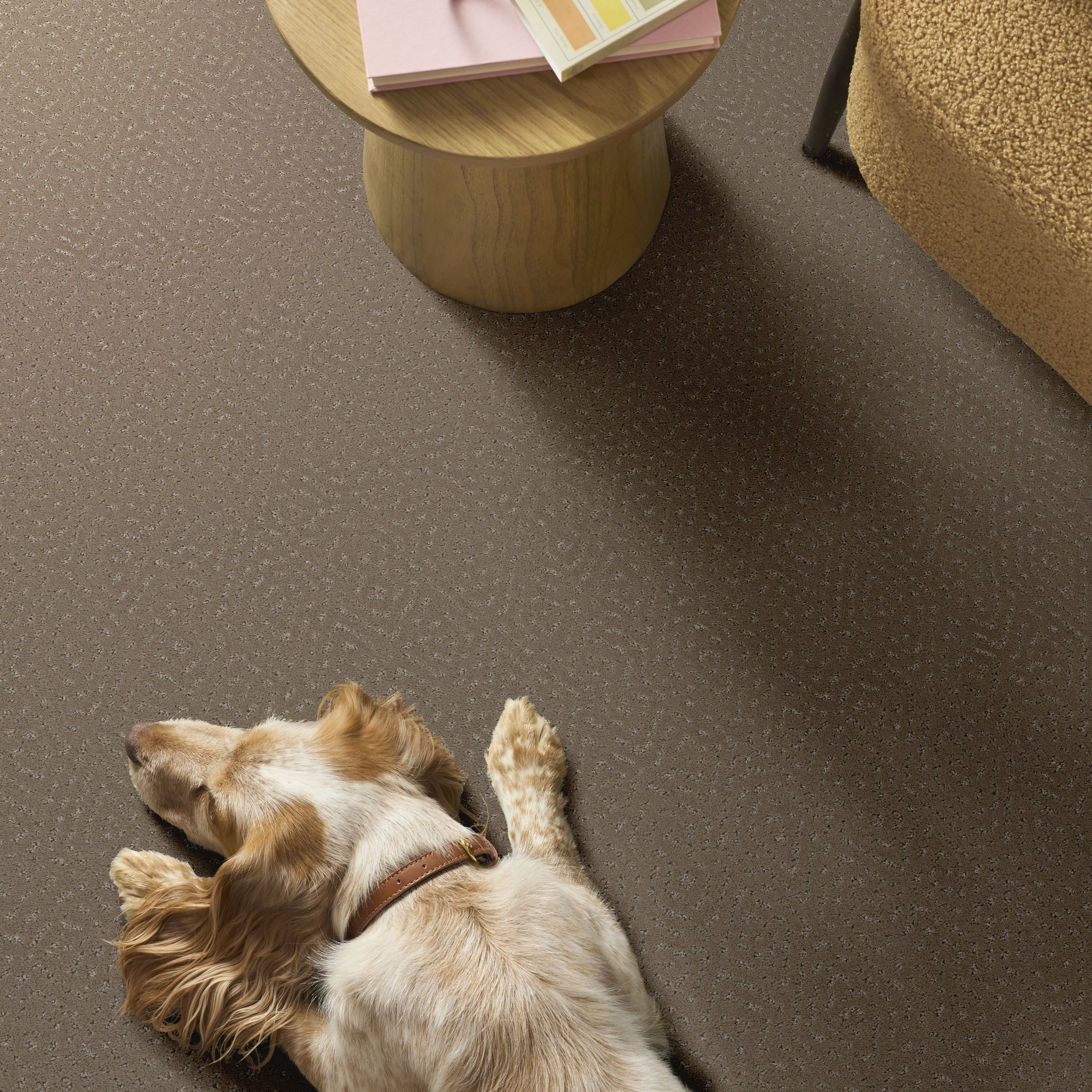 ELABORATE ARTIFACT CAMEO ROOM