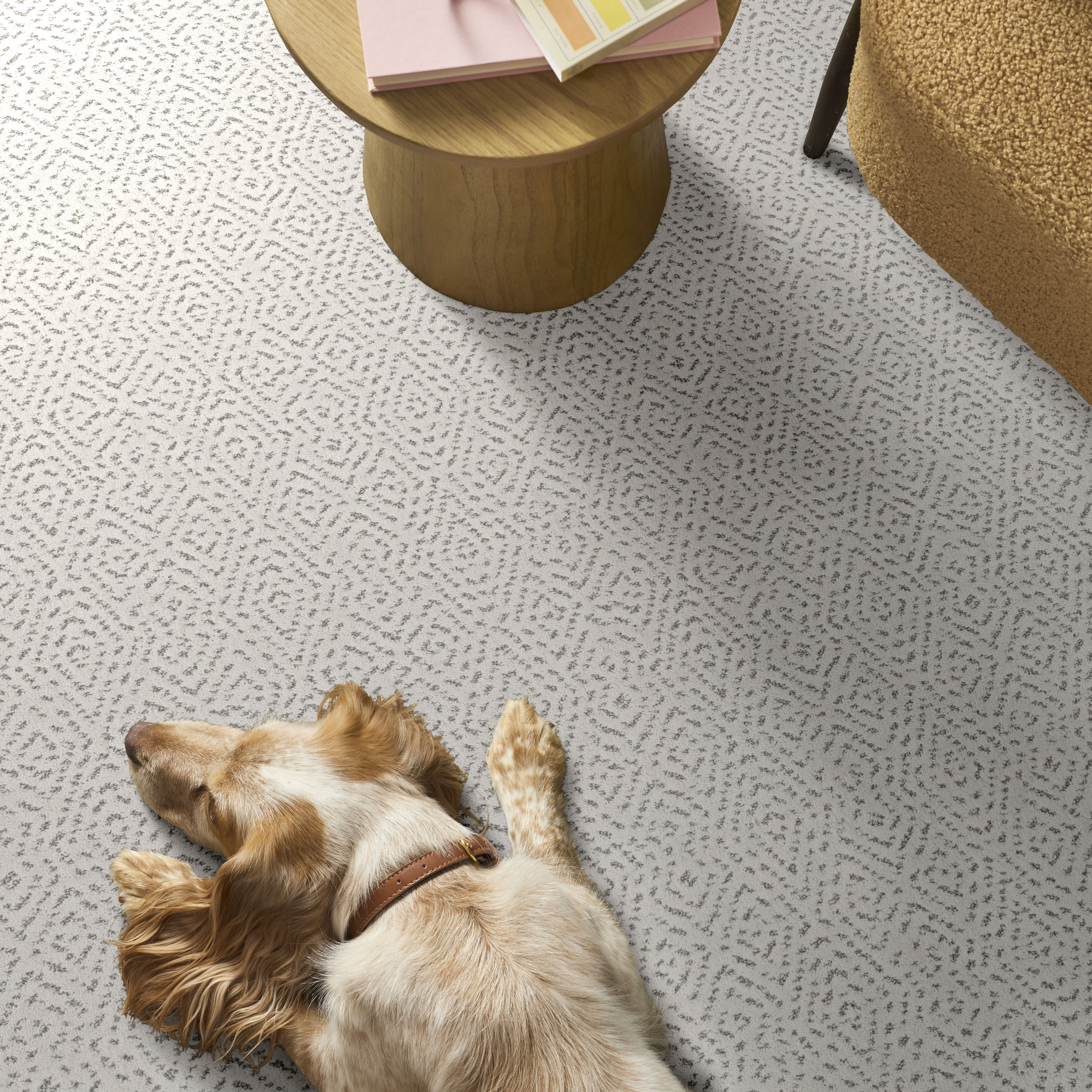 ELABORATE ARTIFACT SNOWFALL ROOM