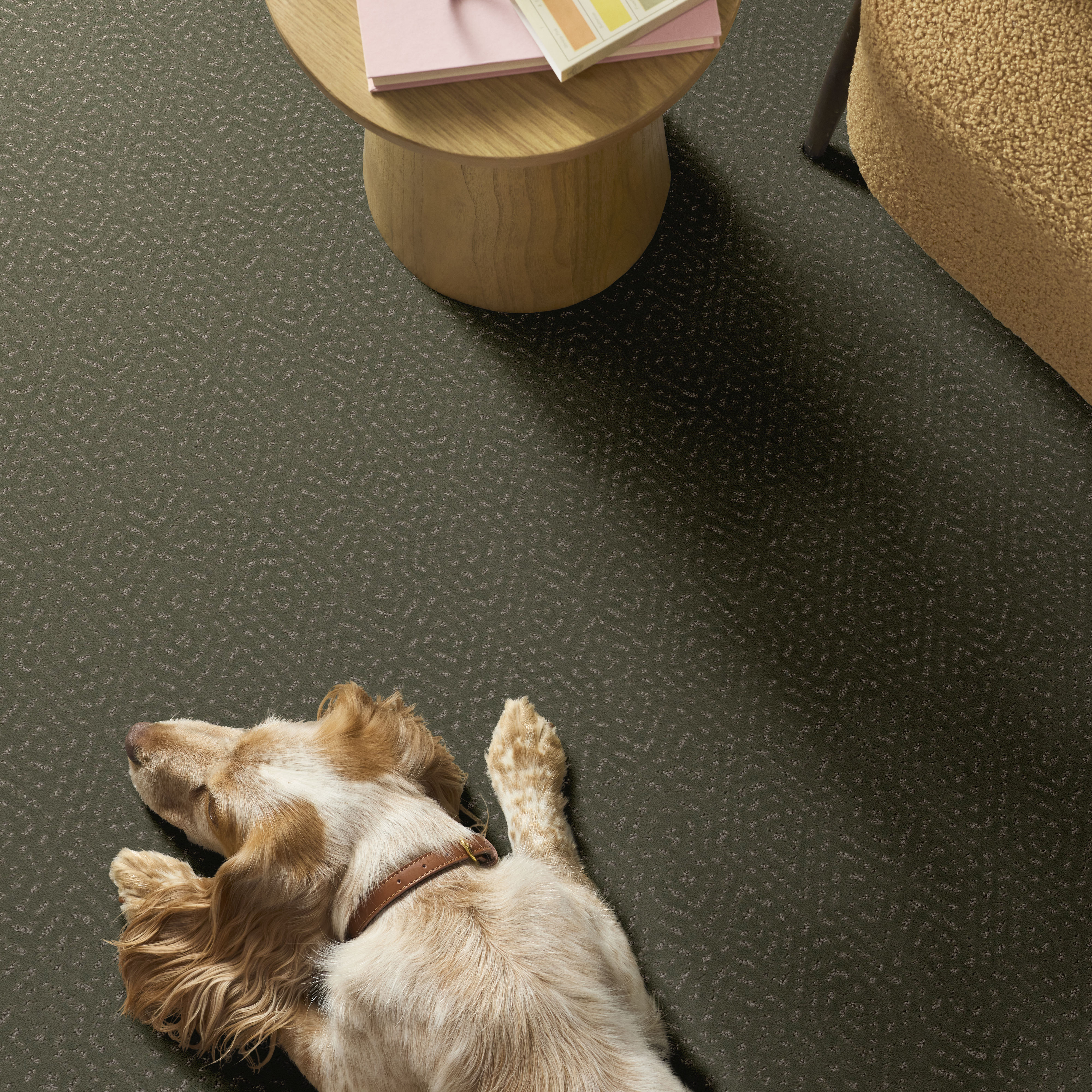 ELABORATE ARTIFACT REROOTED NATURE ROOM