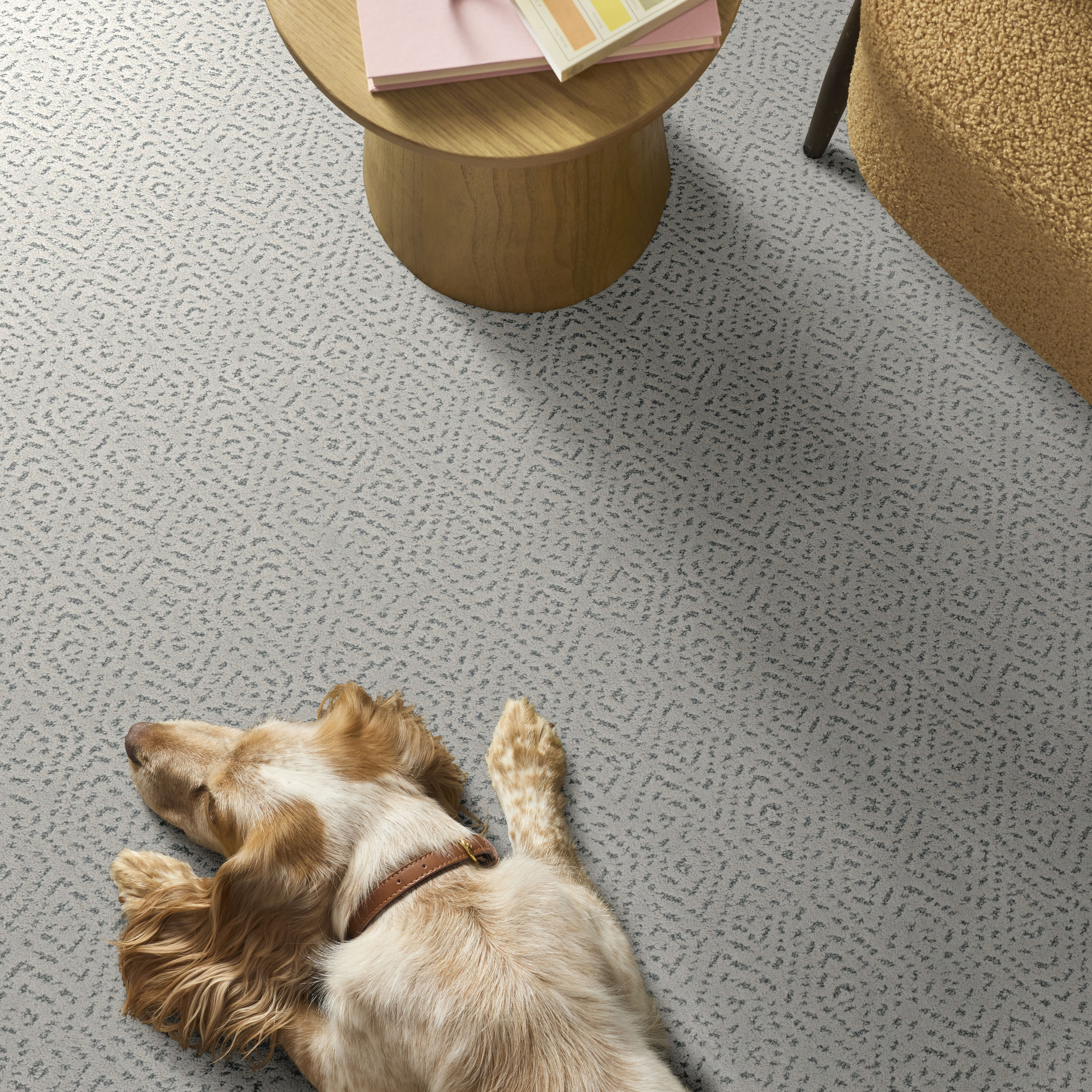 ELABORATE ARTIFACT SERENE BLUE ROOM