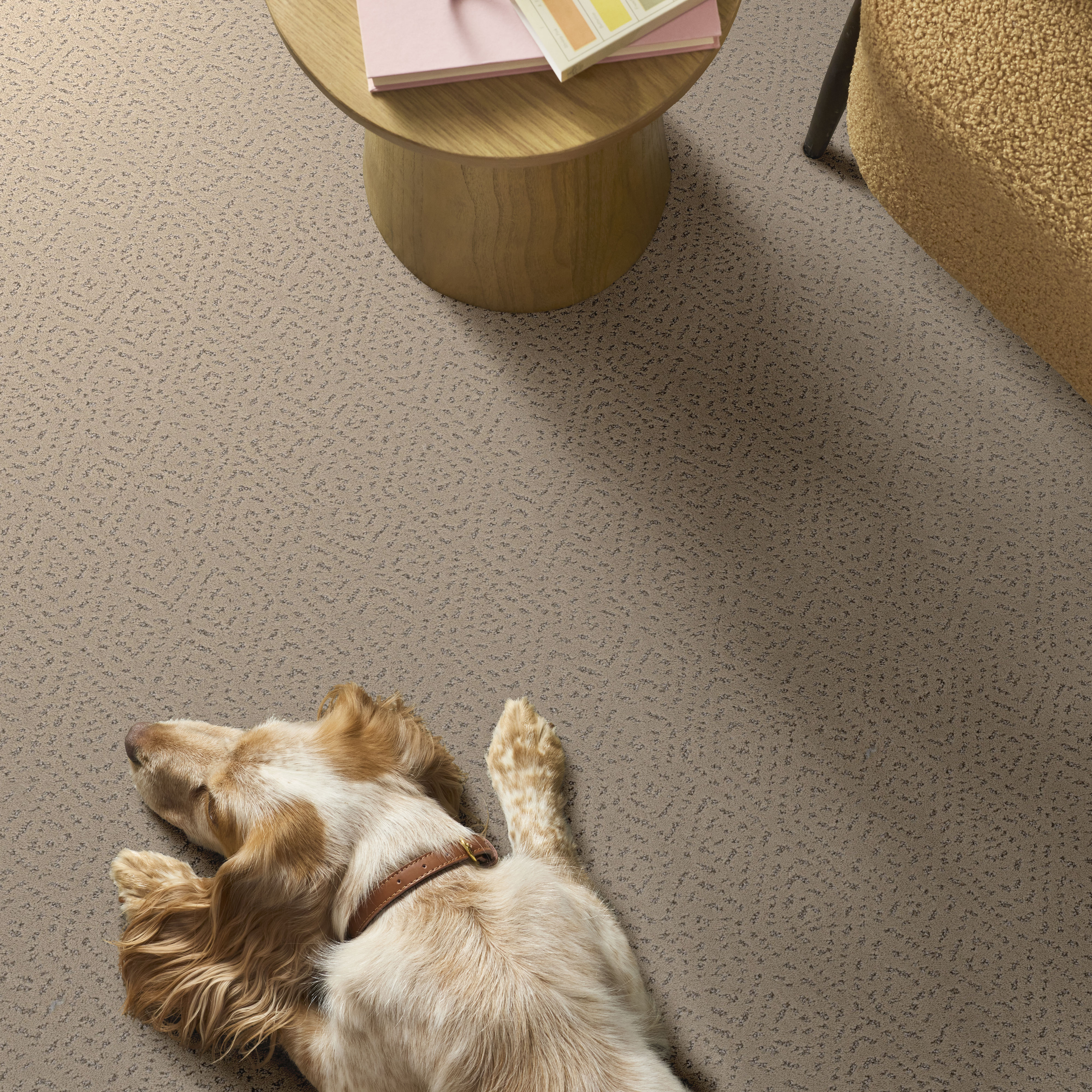 ELABORATE ARTIFACT WORN PATH ROOM