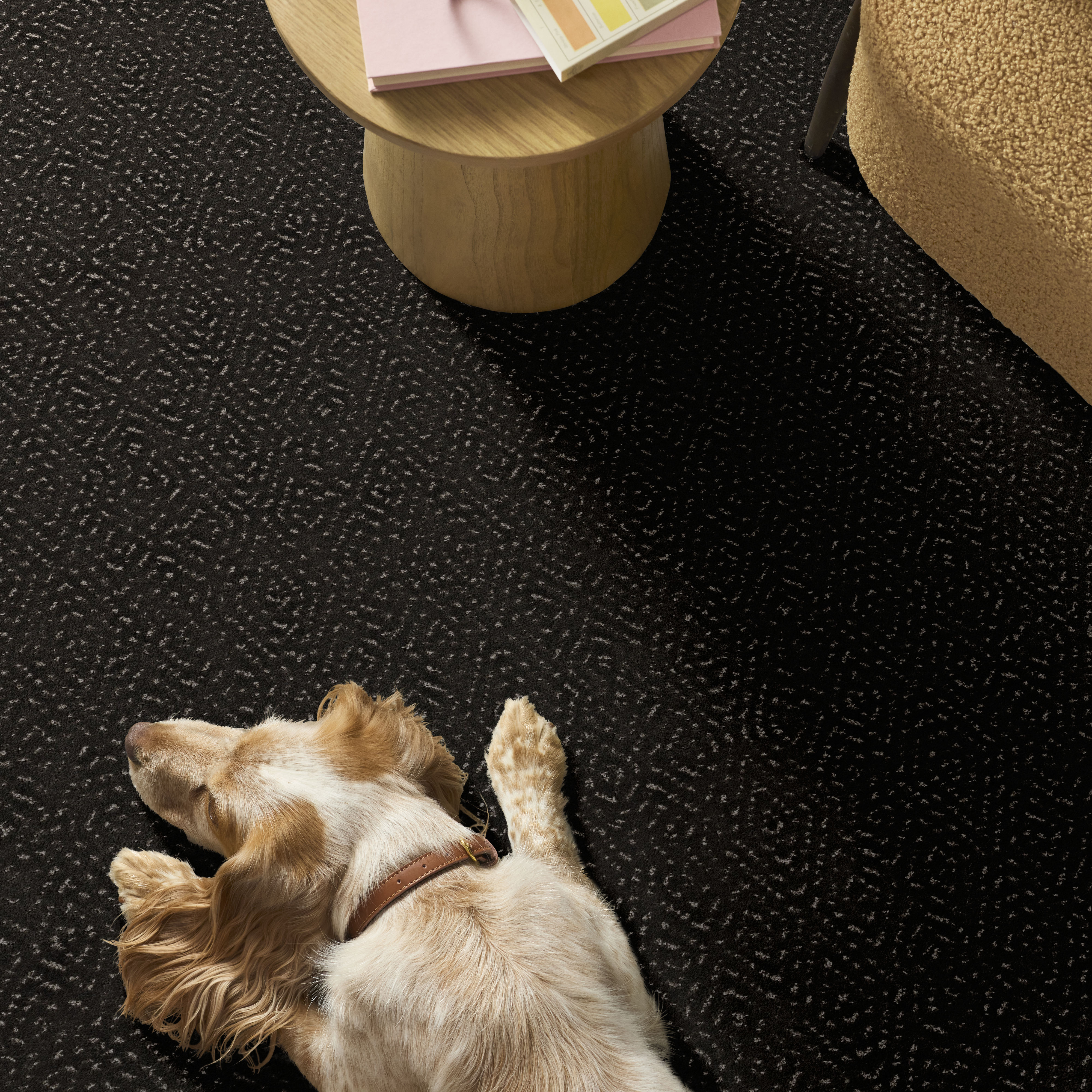 ELABORATE ARTIFACT CAFE NOIR ROOM