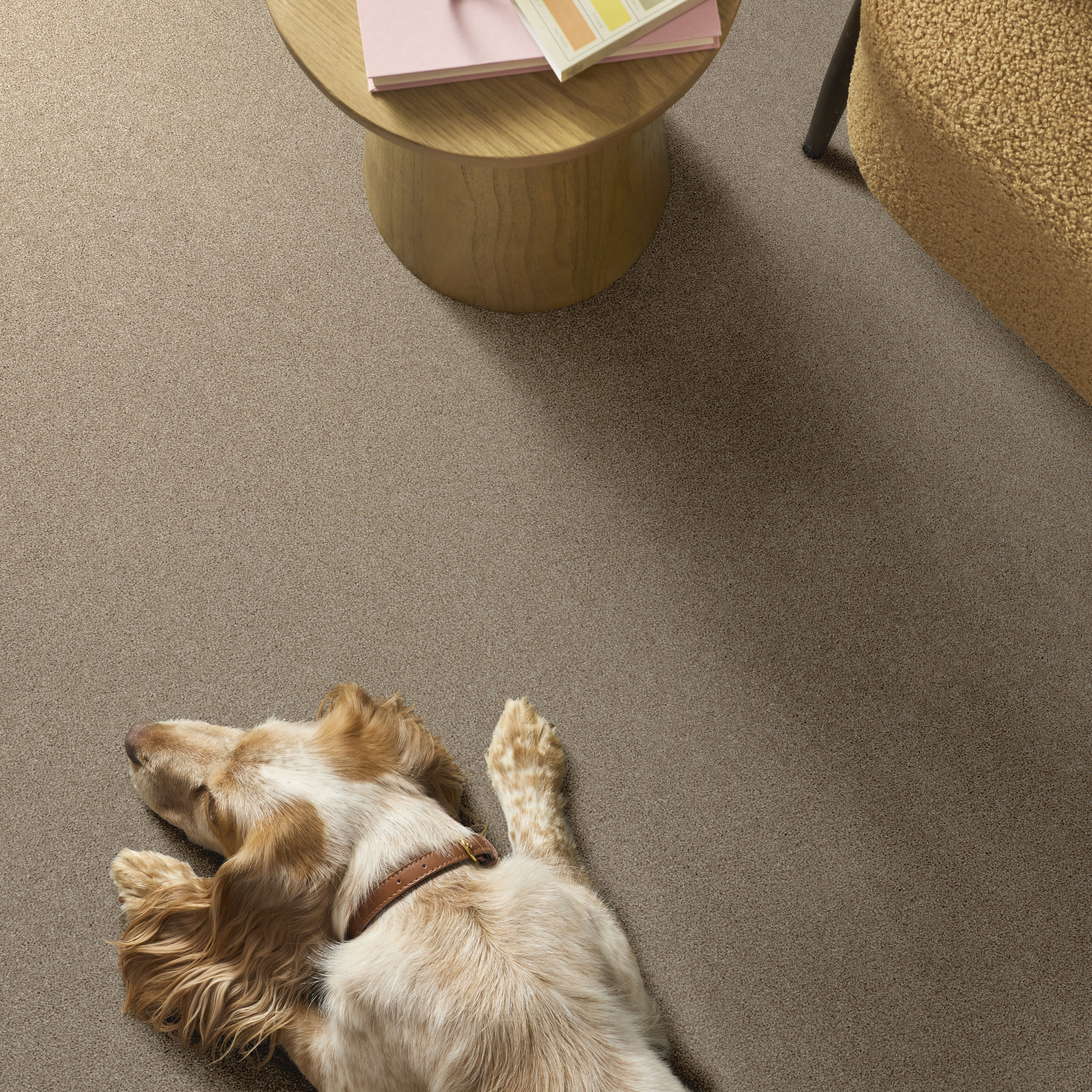 AFFIRMATION I LOFT LIGHT ROOM