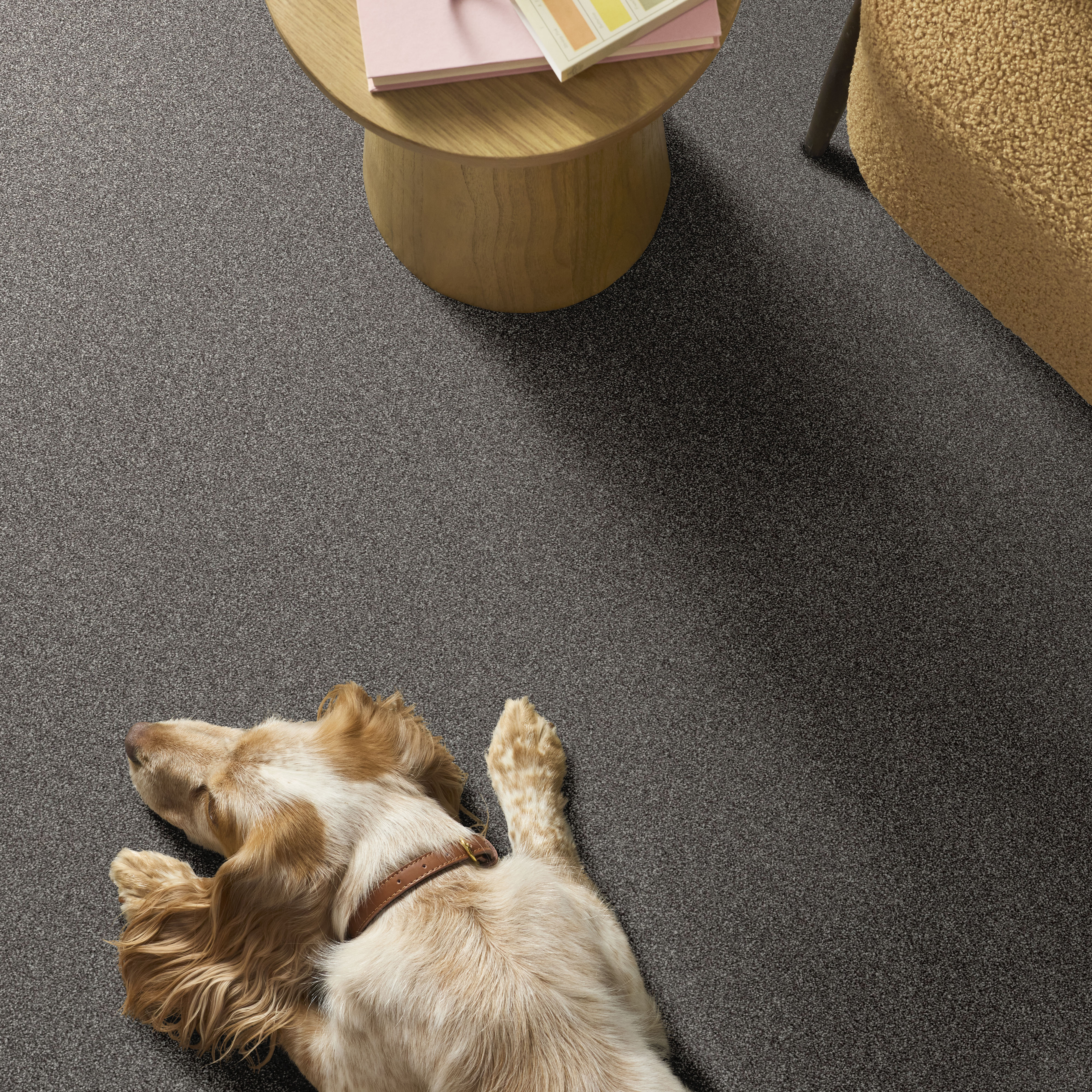 AFFIRMATION I RUSH HOUR ROOM