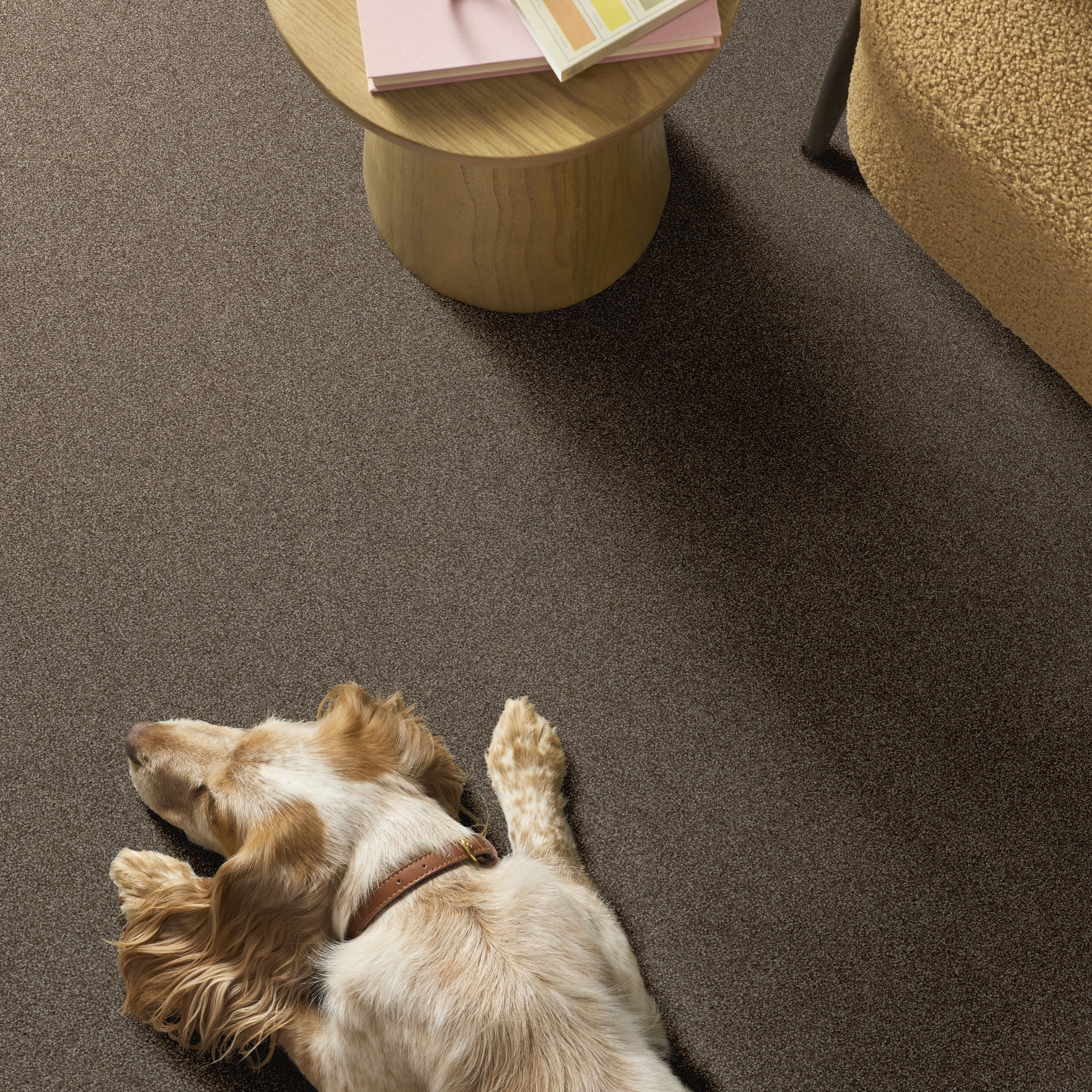 AFFIRMATION I SPANISH BROWN ROOM