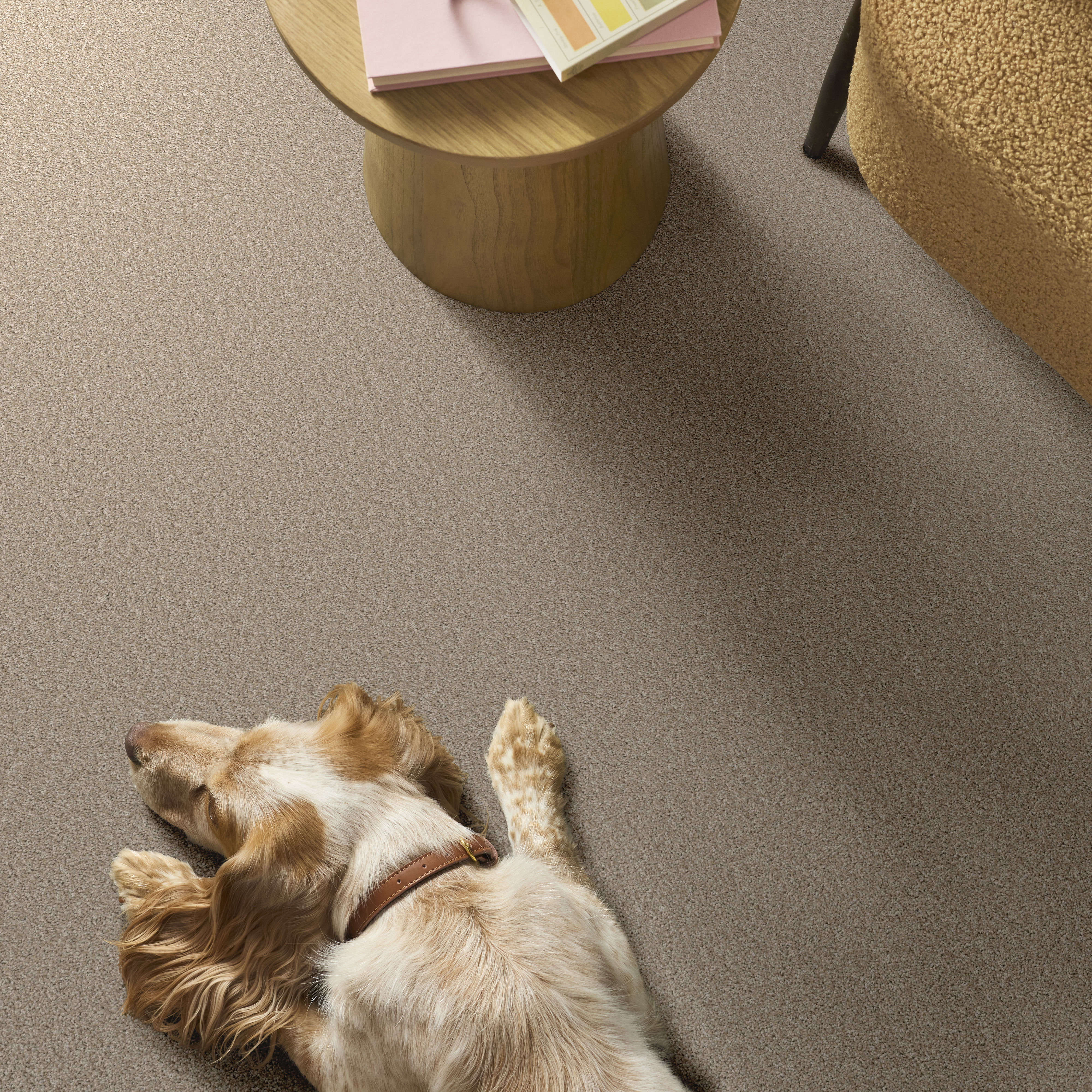 AFFIRMATION II LOFT LIGHT ROOM