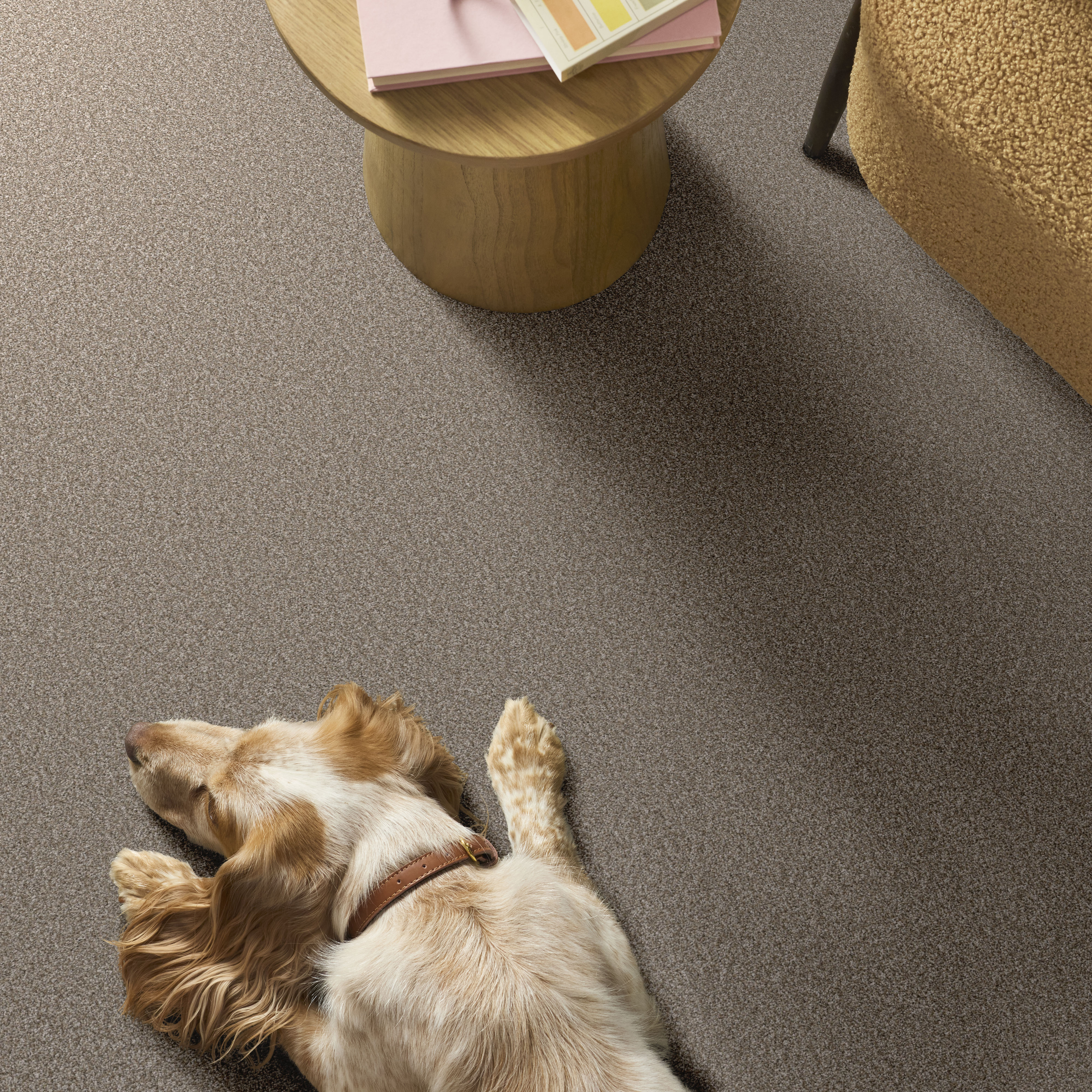 AFFIRMATION II PLATEAU ROOM