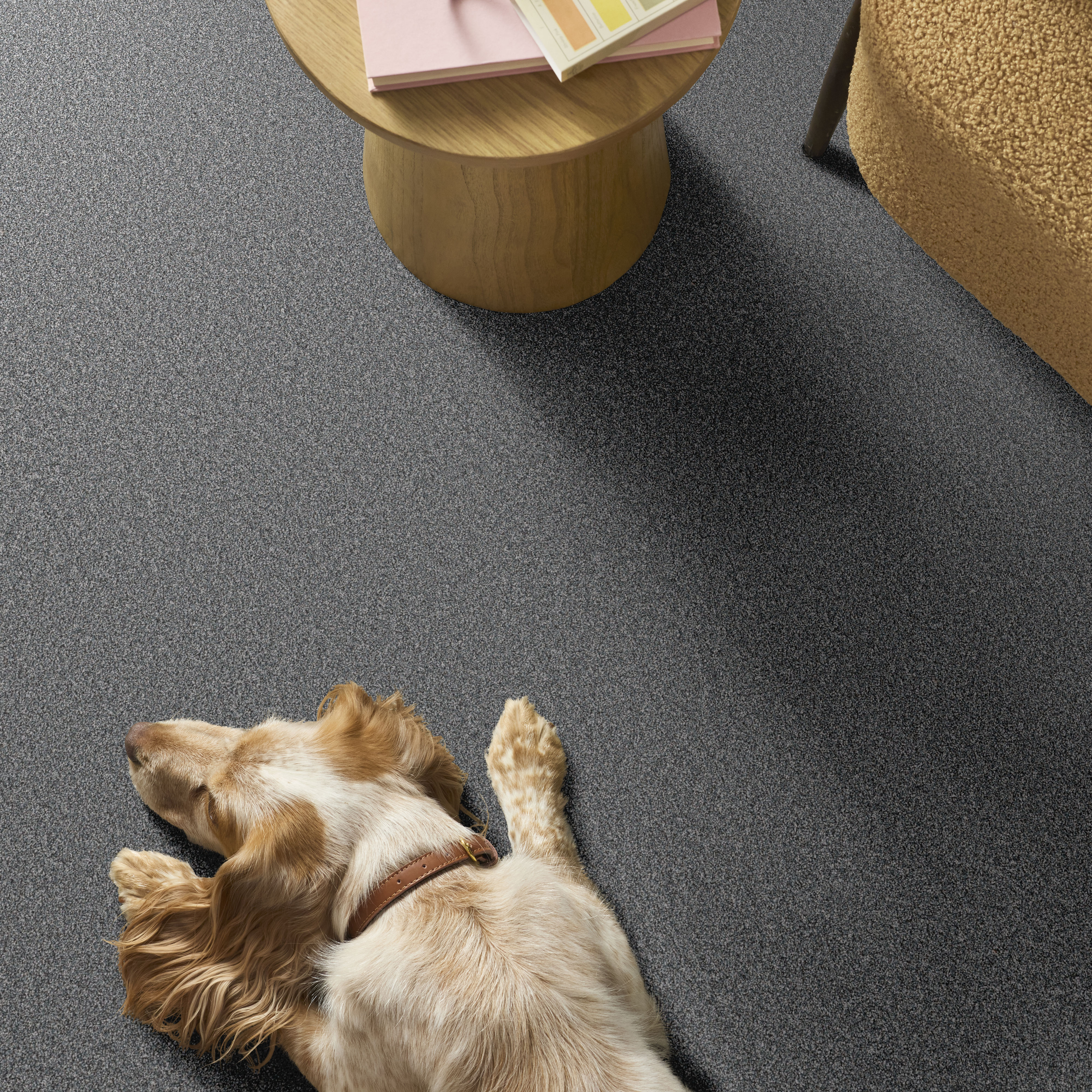 AFFIRMATION II CLEAR VISTA ROOM