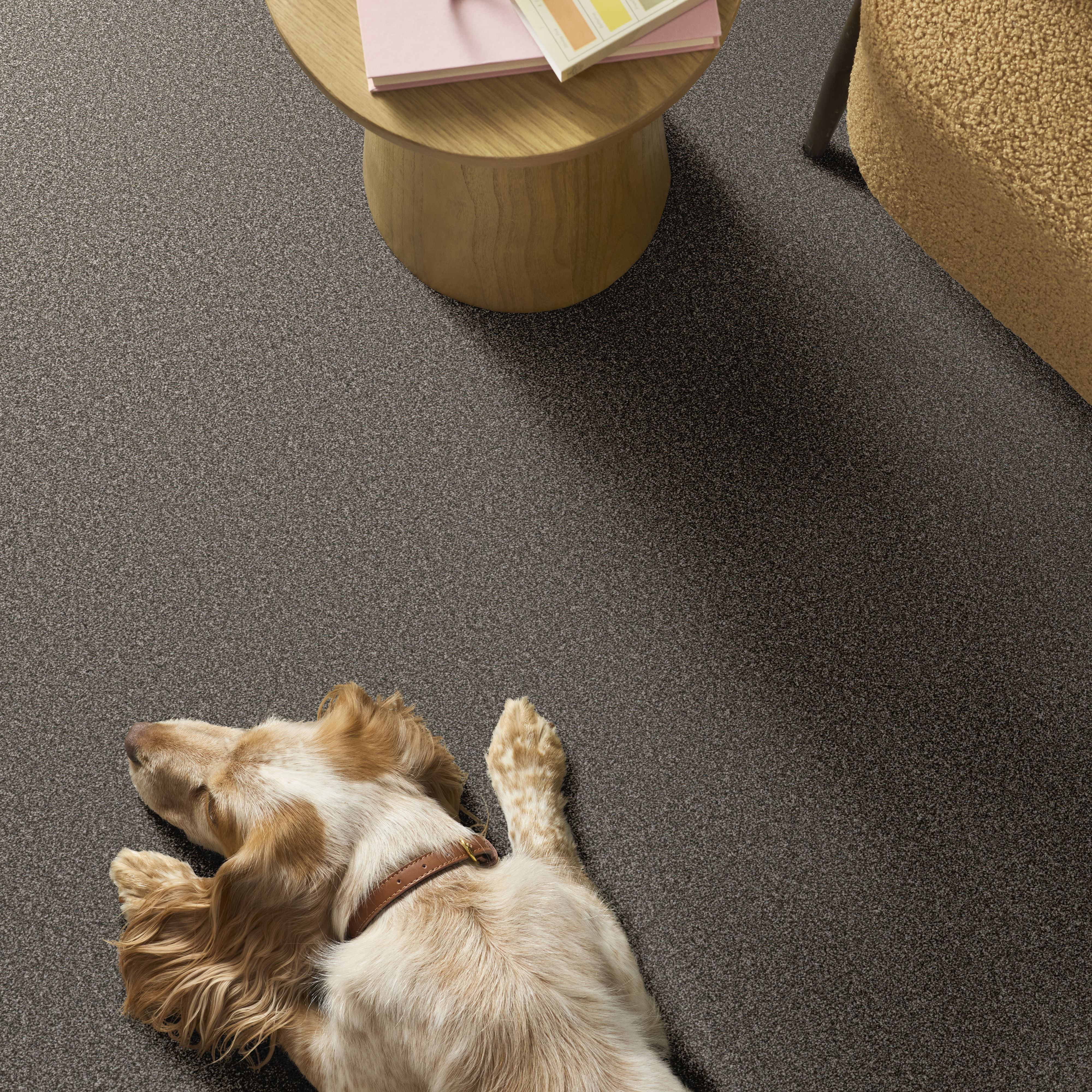 AFFIRMATION II ORION GRAY ROOM