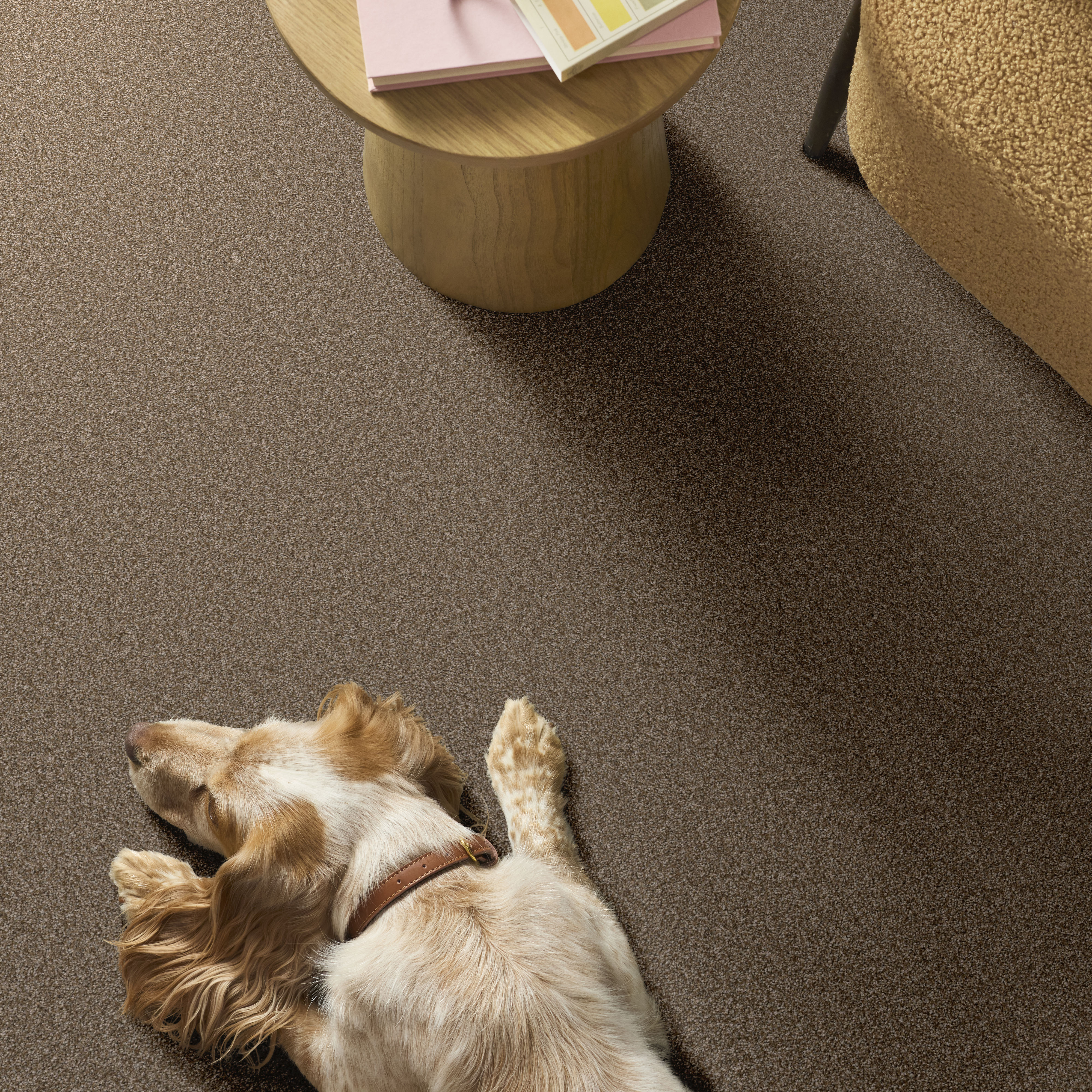 AFFIRMATION II SPANISH BROWN ROOM