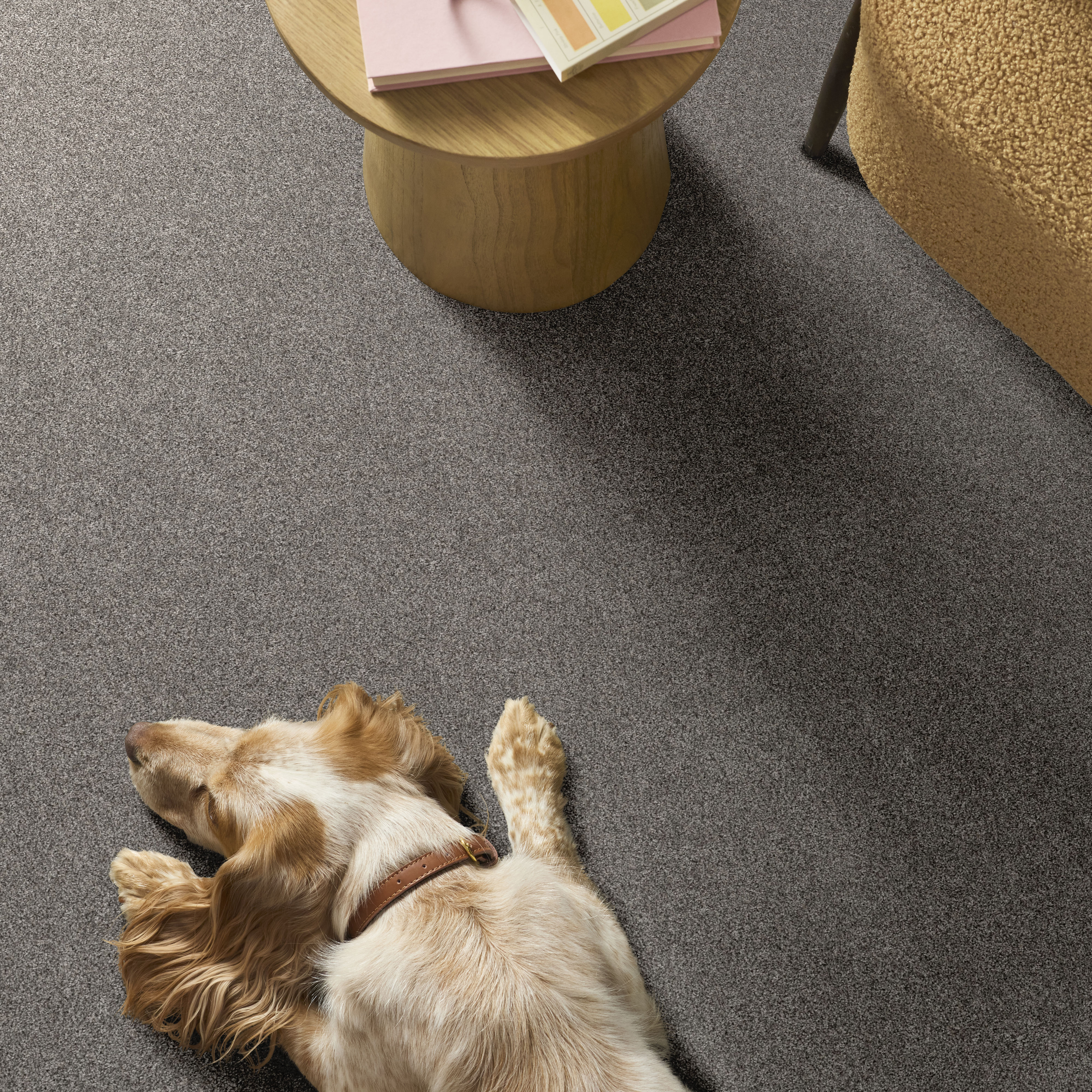 GRAND OUTLOOK MYSTIC ROOM