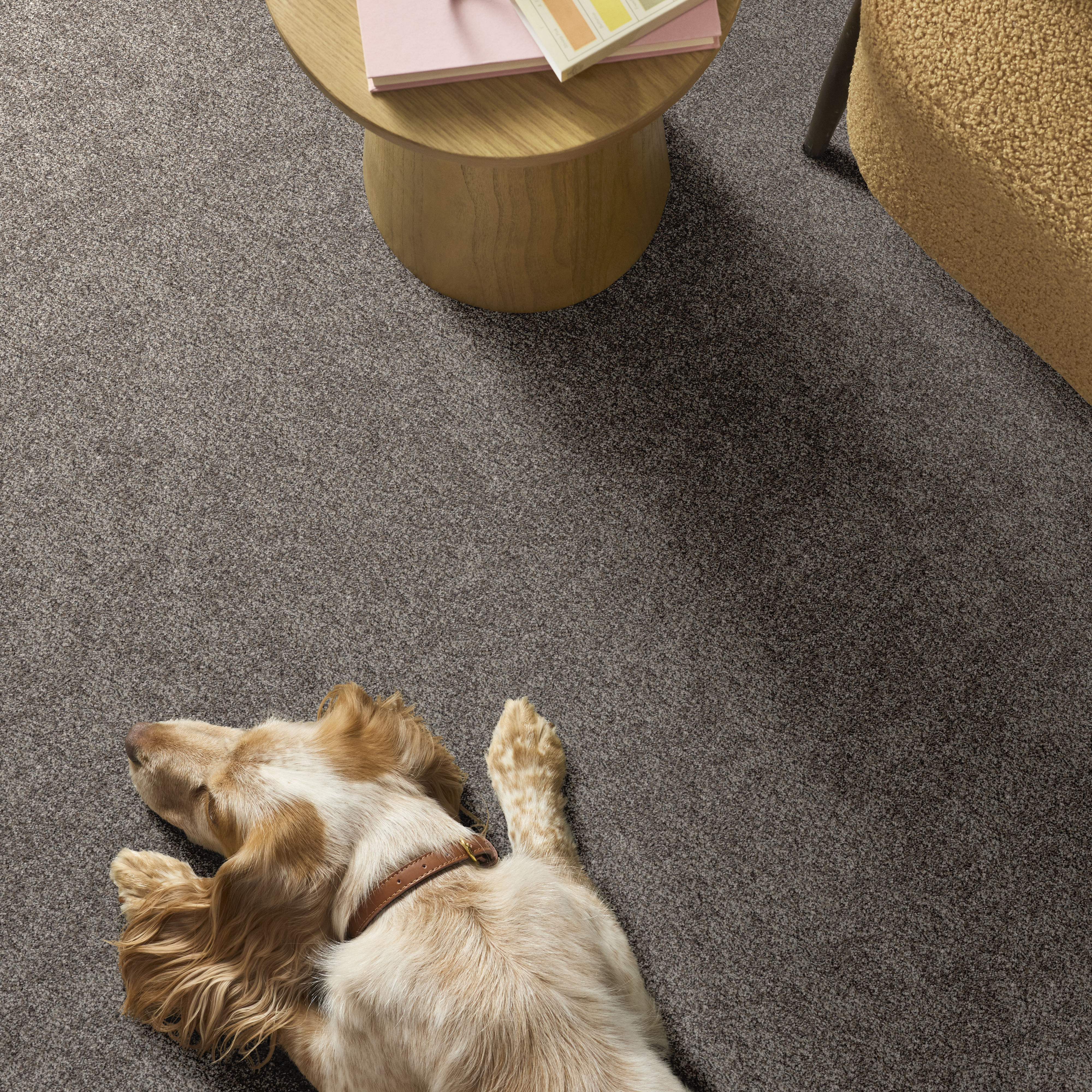 GRAND OUTLOOK HAMMERHEAD ROOM