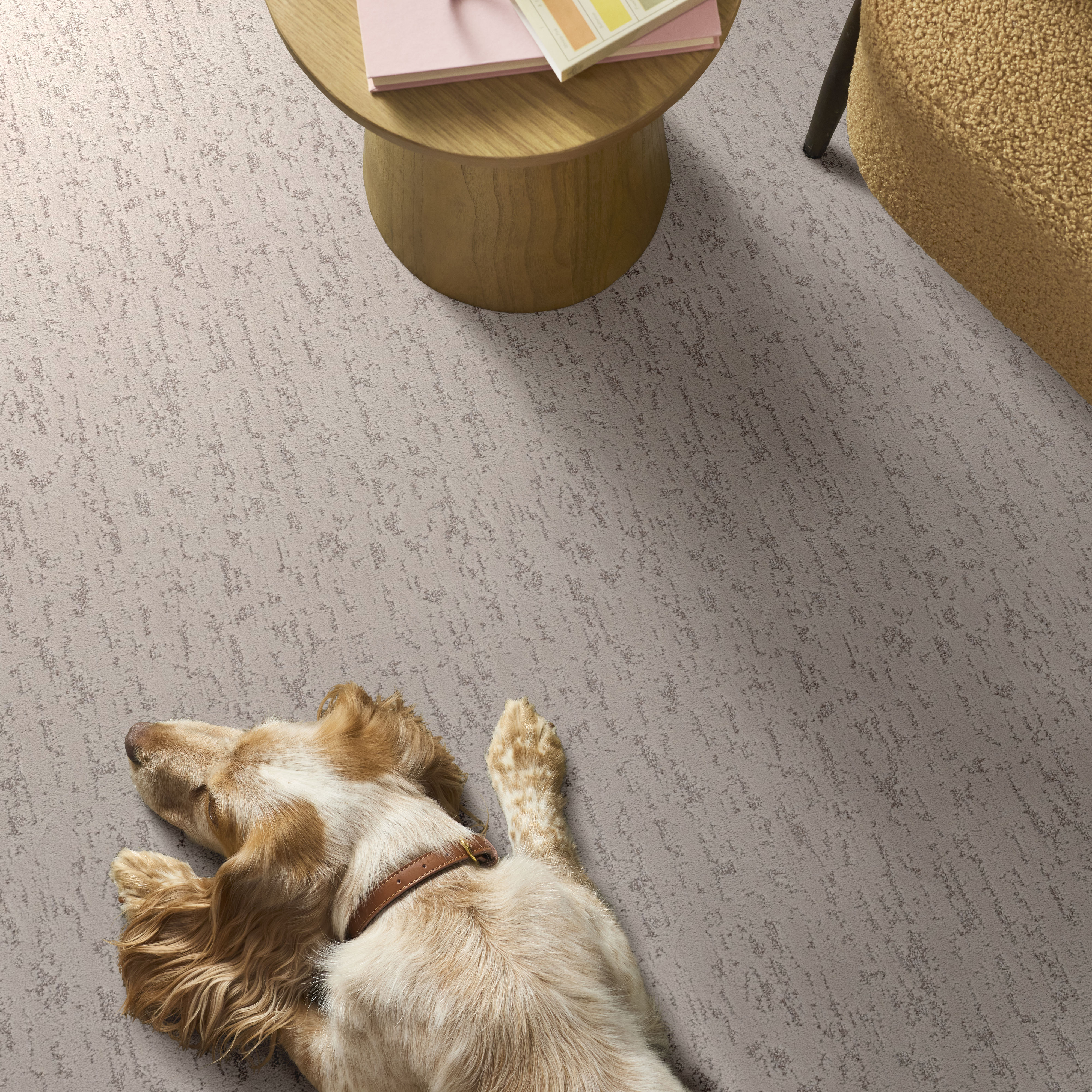 CALM EXPRESSION DREAMY BEIGE ROOM