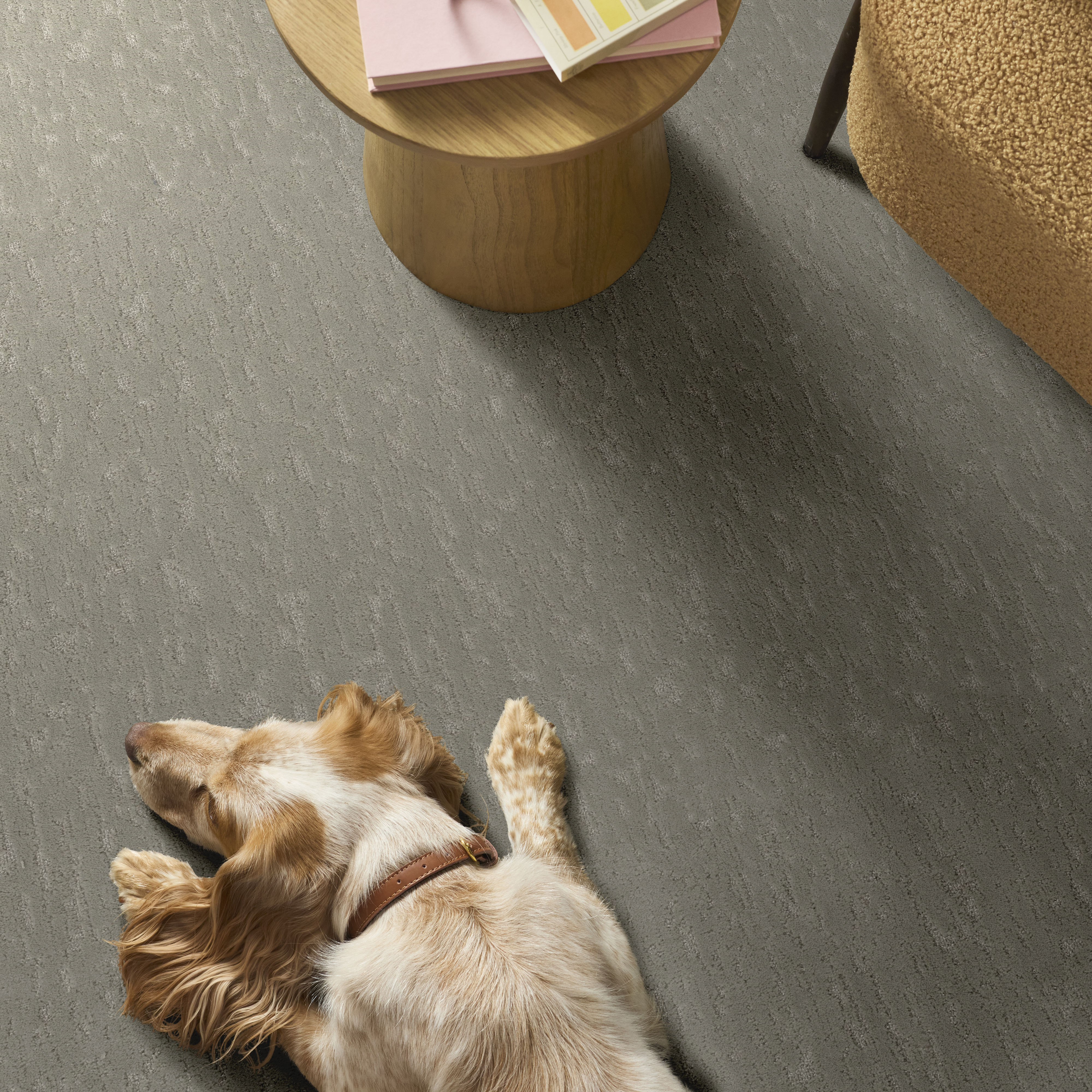 CALM EXPRESSION ORGANIC GROWN ROOM