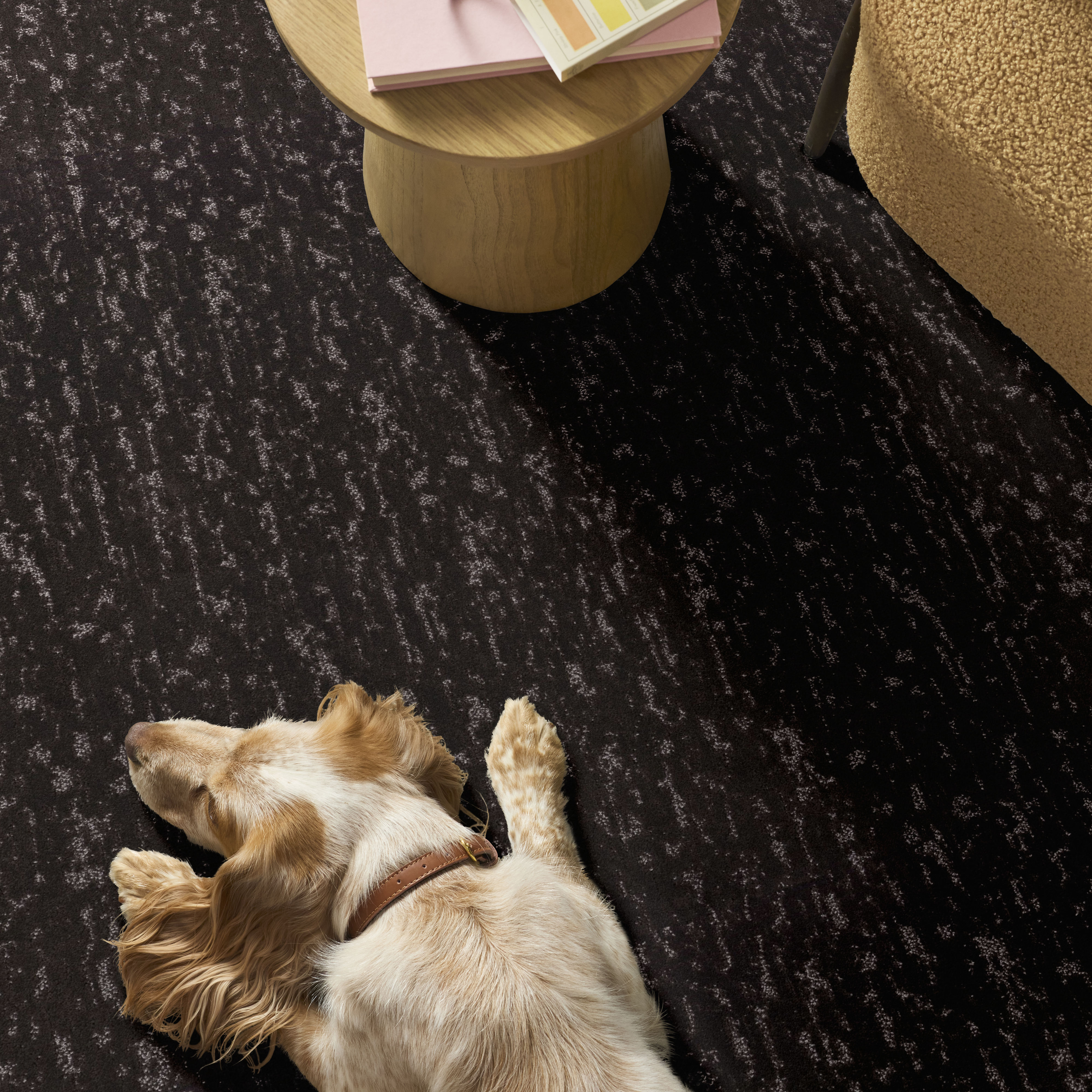 CALM EXPRESSION BISON ROOM