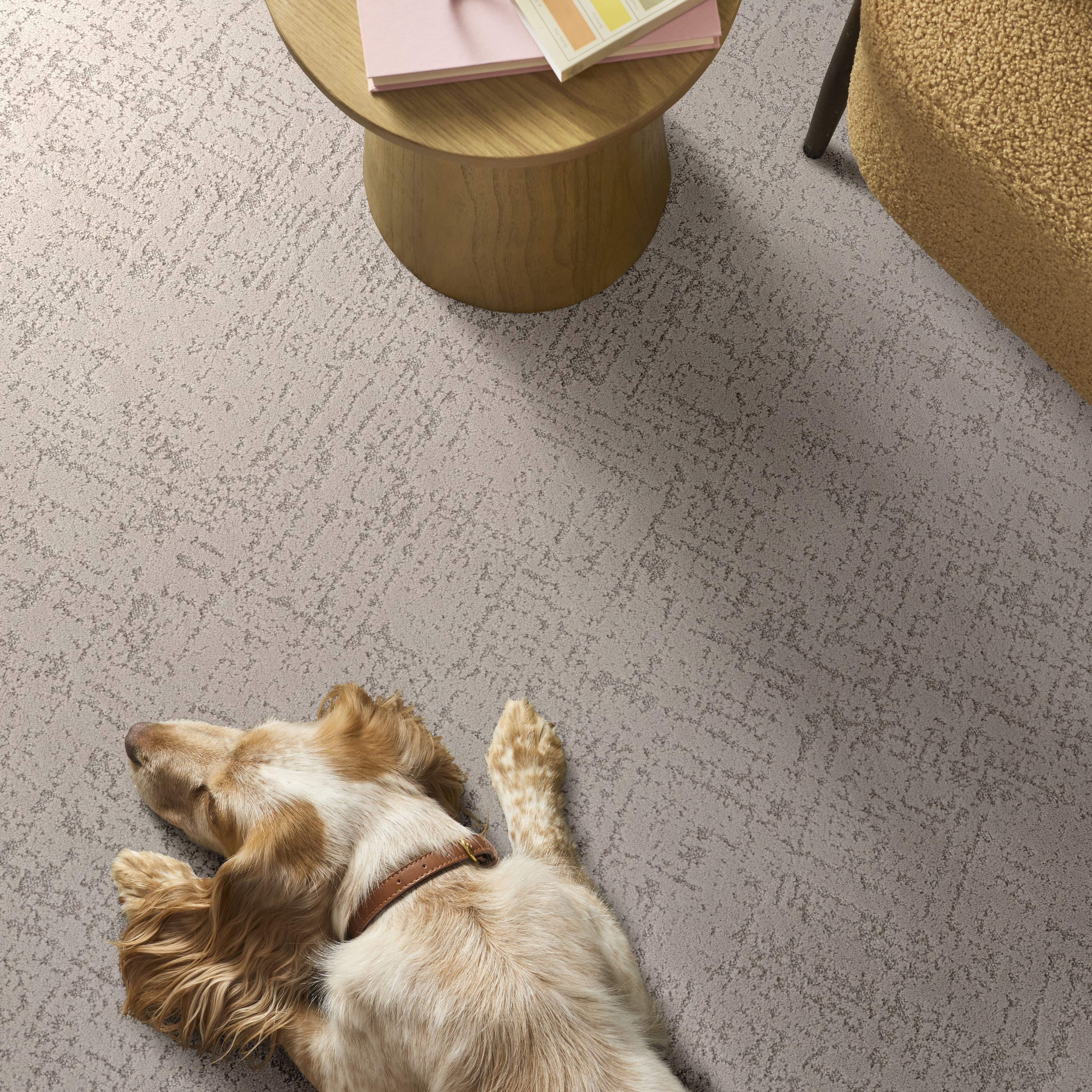 SINCERE FOCUS DREAMY BEIGE ROOM