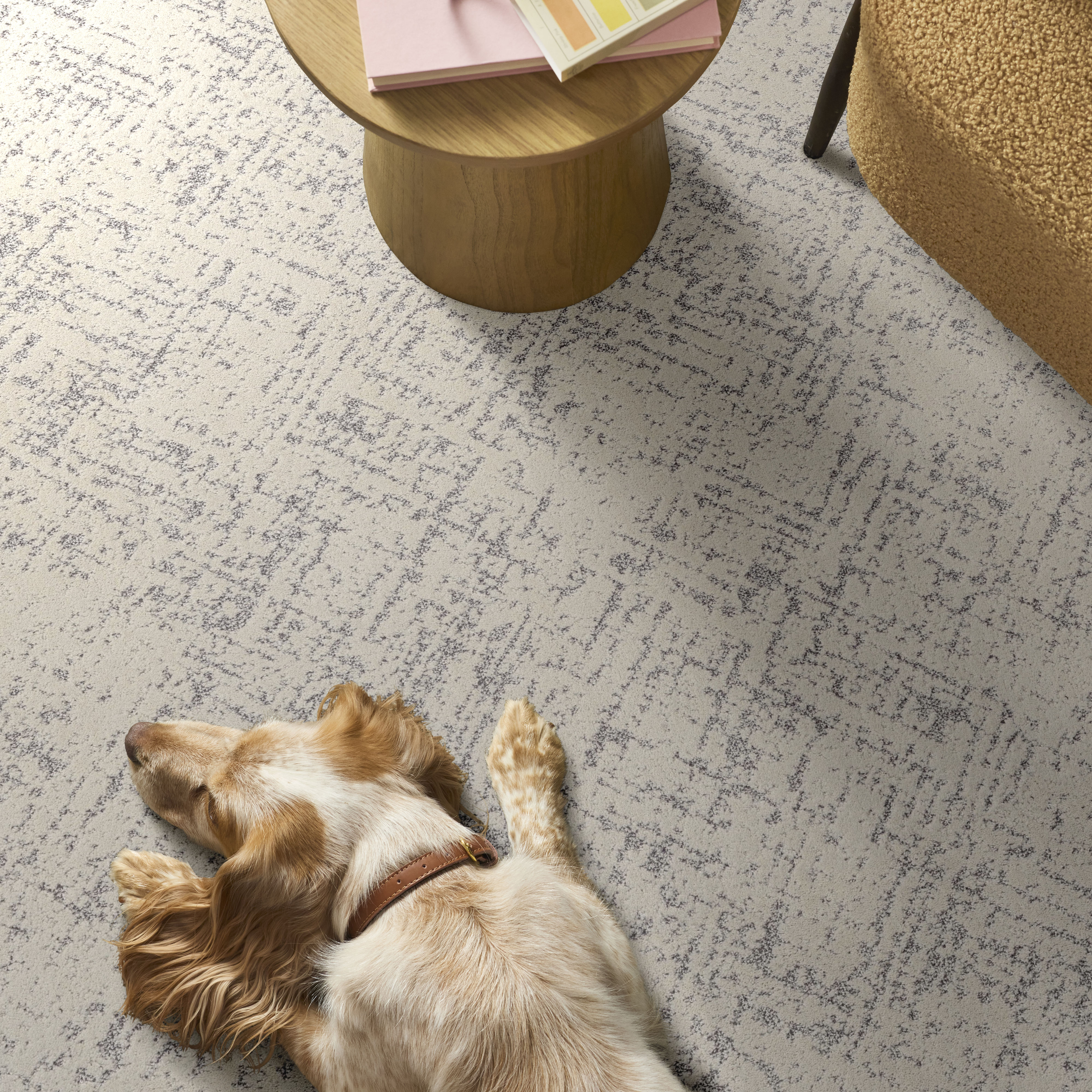 SINCERE FOCUS SOFT FOCUS ROOM