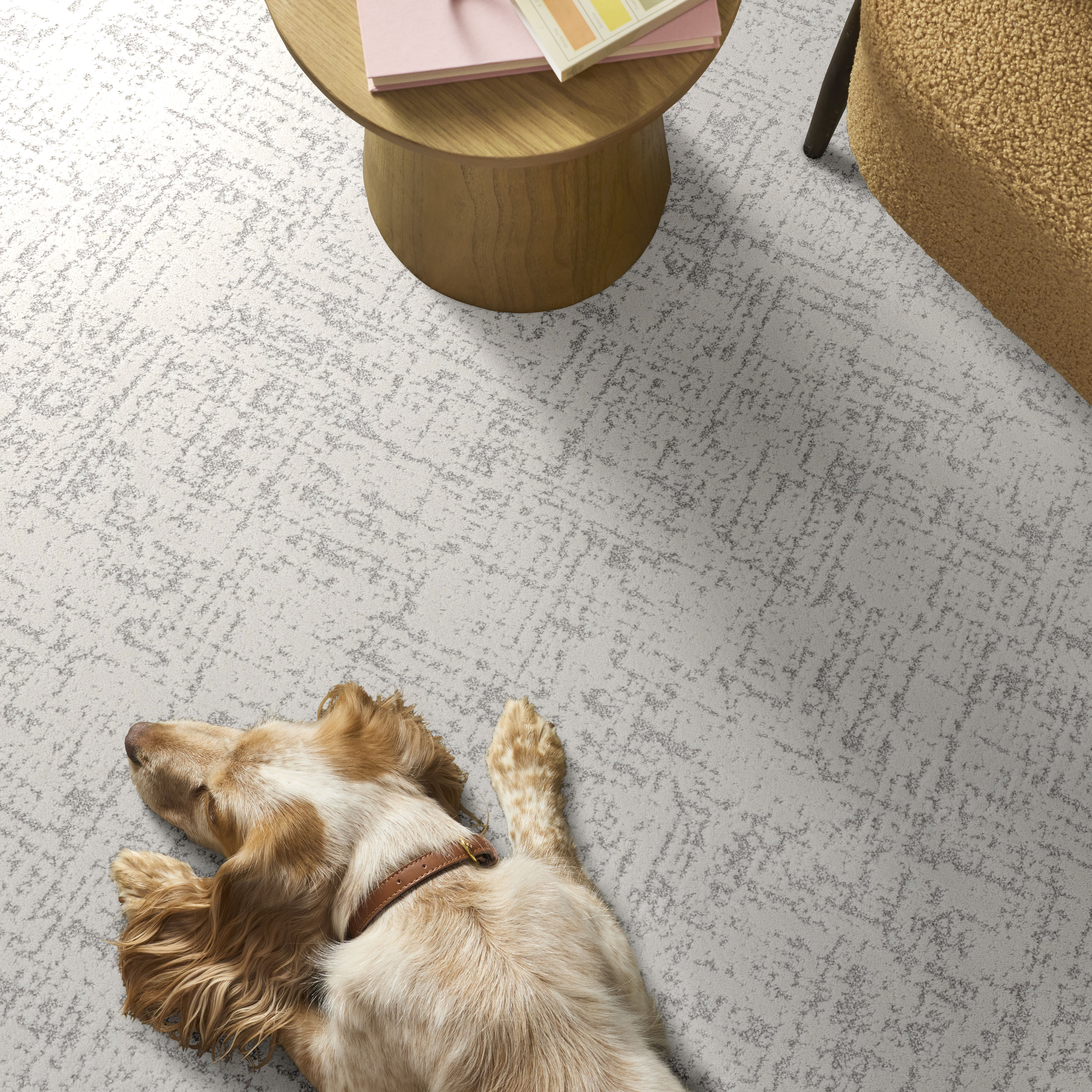 SINCERE FOCUS ASPEN WHITE ROOM